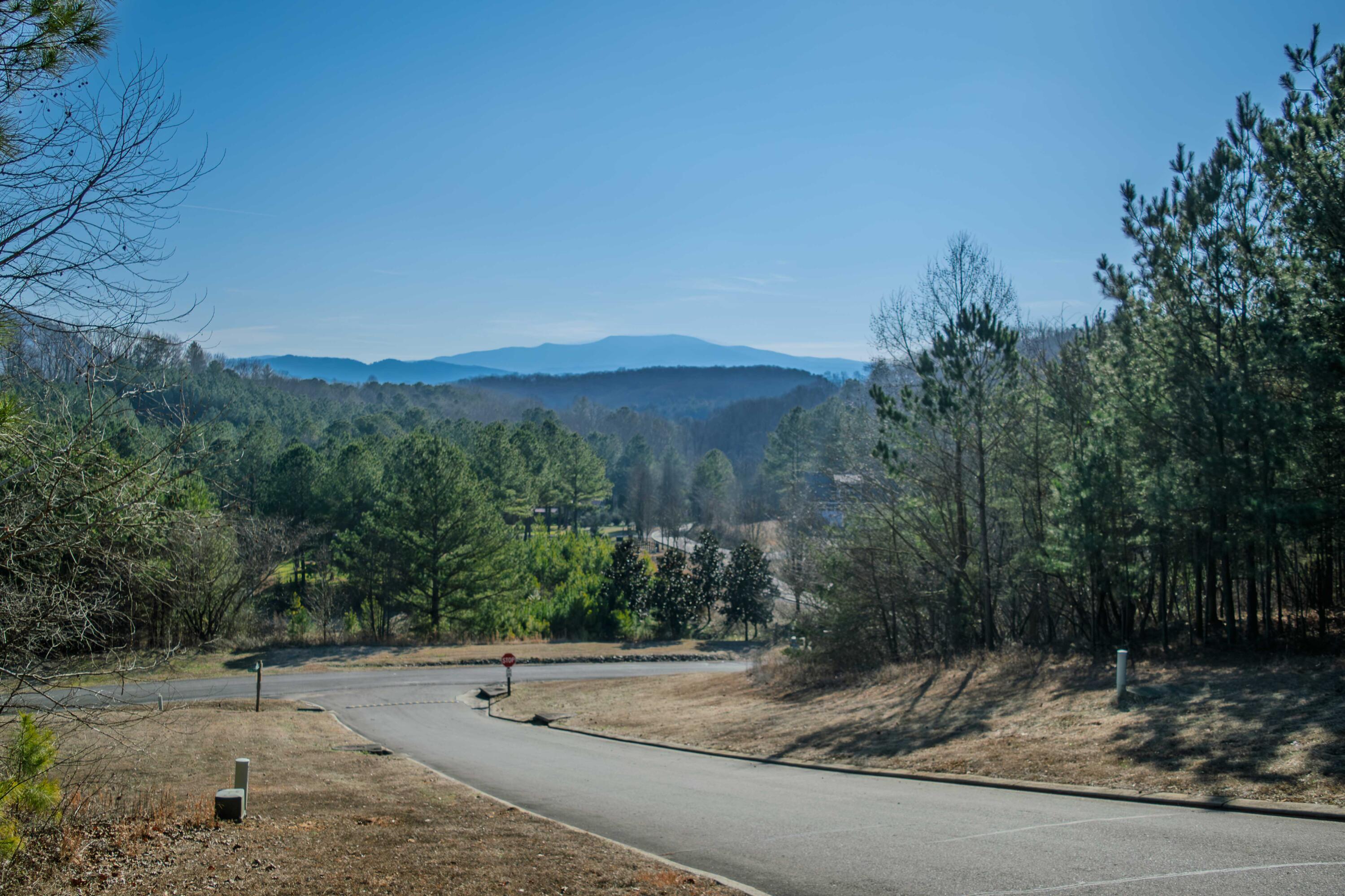 109 Cherokee Ridge Drive, 50