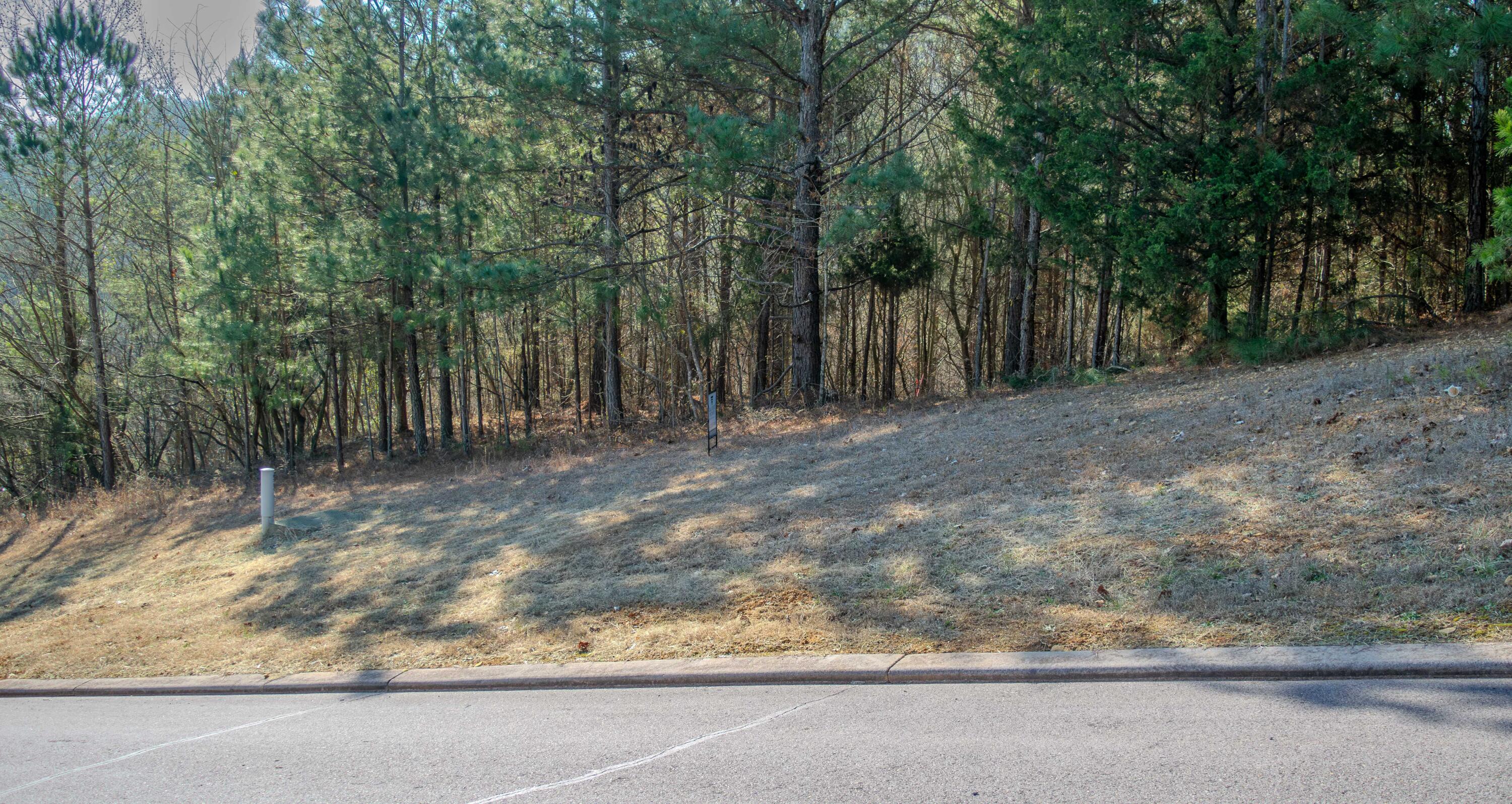 109 Cherokee Ridge Drive, 50