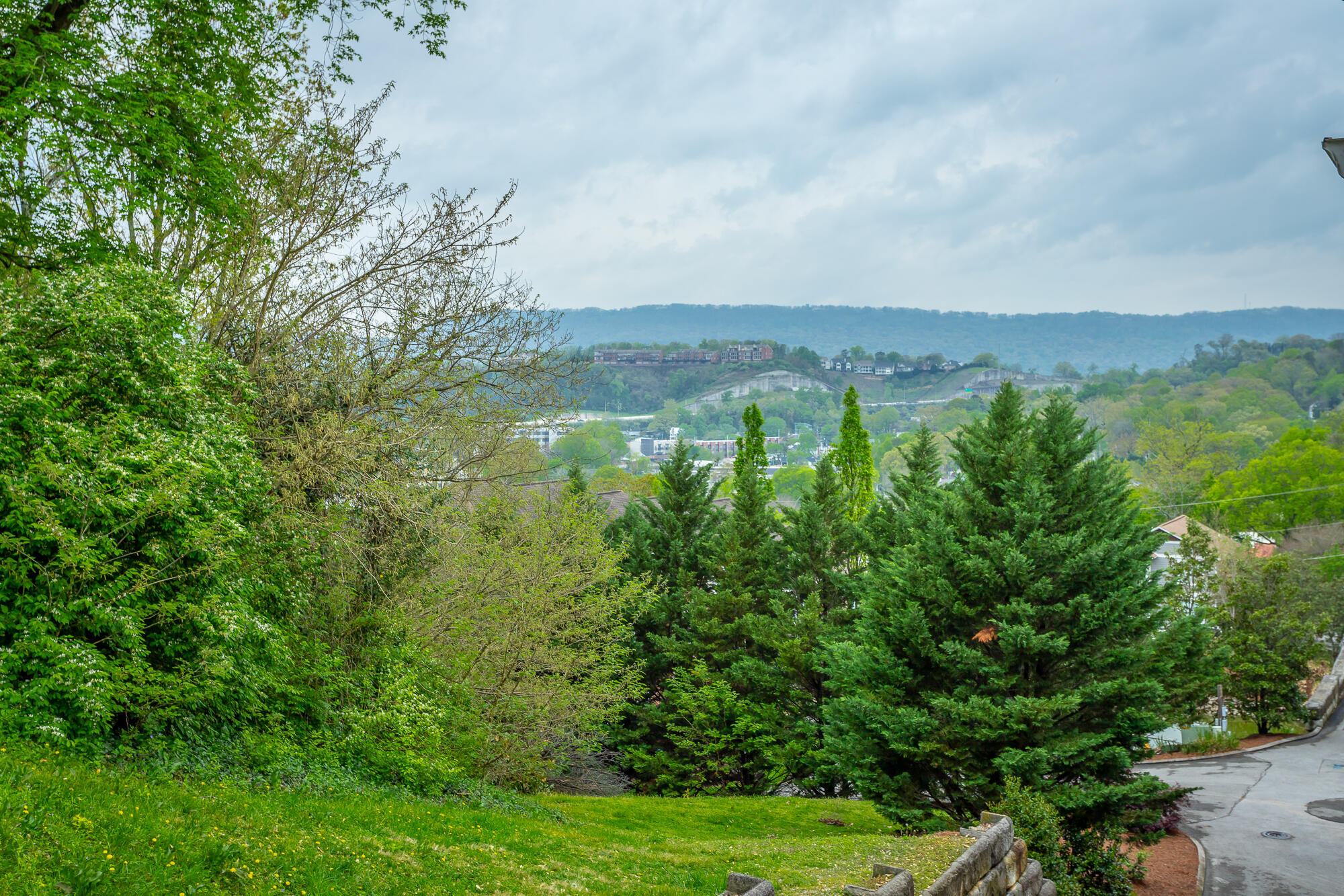 254 Berry Patch Lane