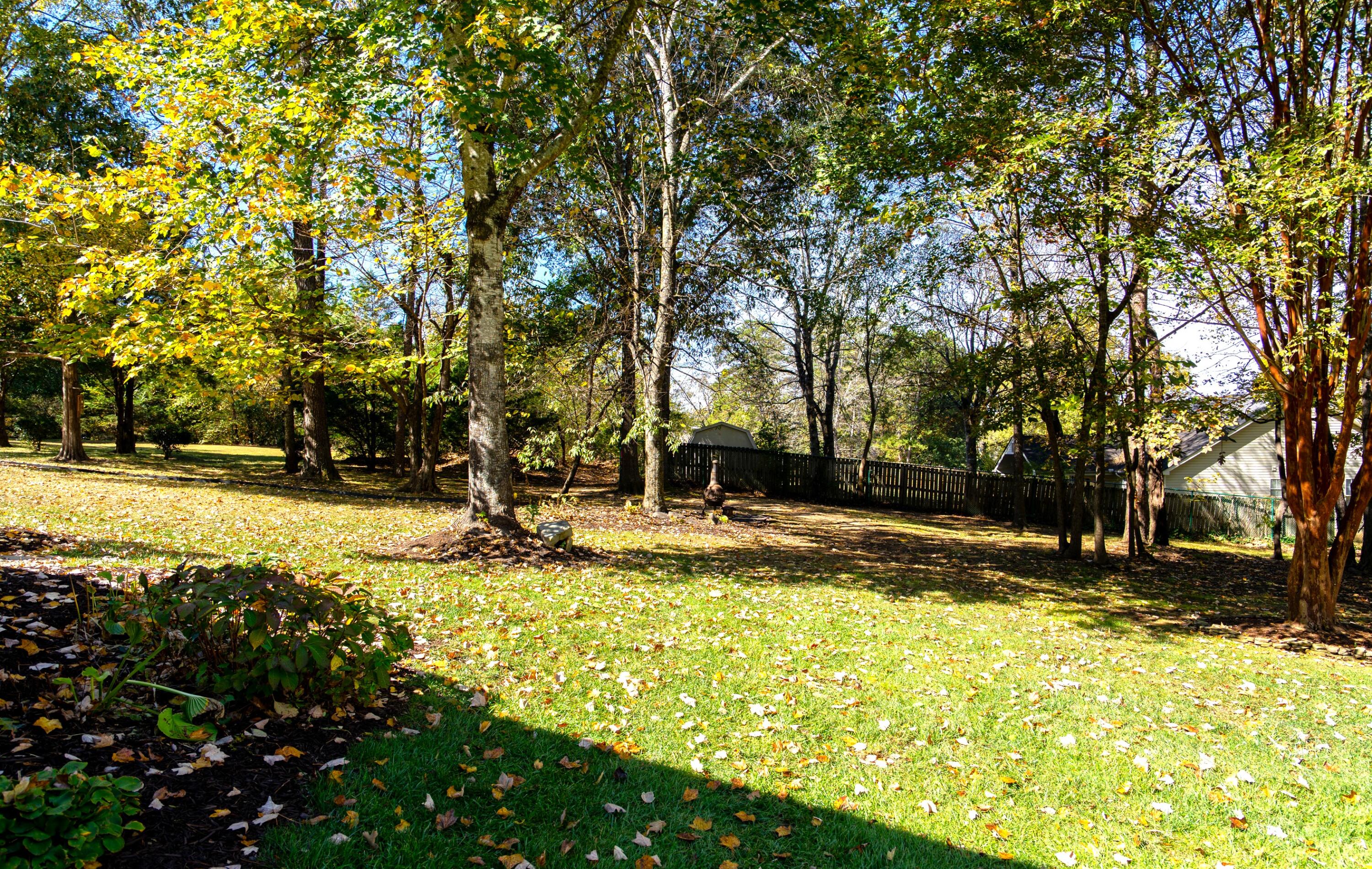 2421 Royal Fern Trail