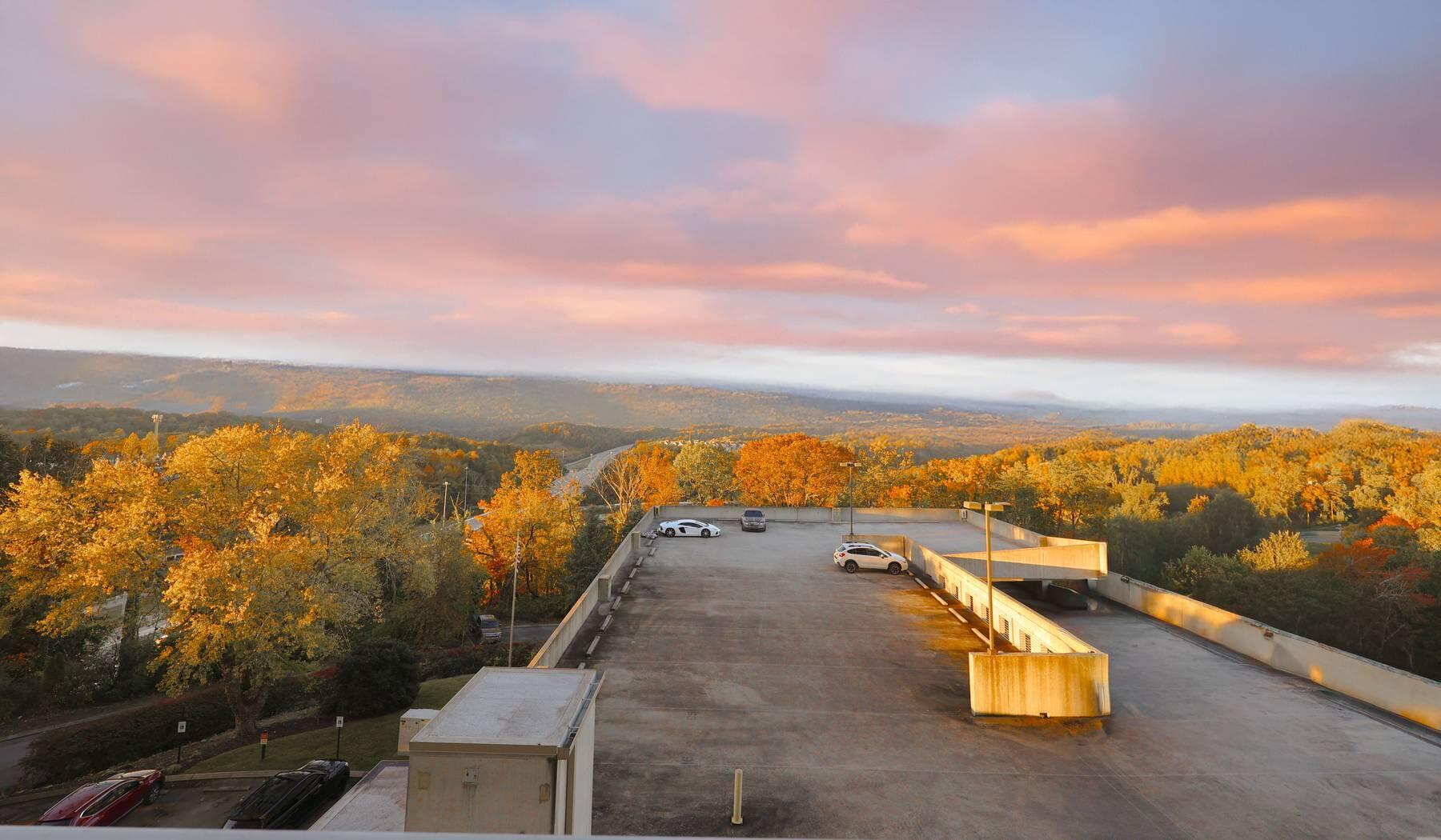 1131 Stringers Ridge Road, 6b