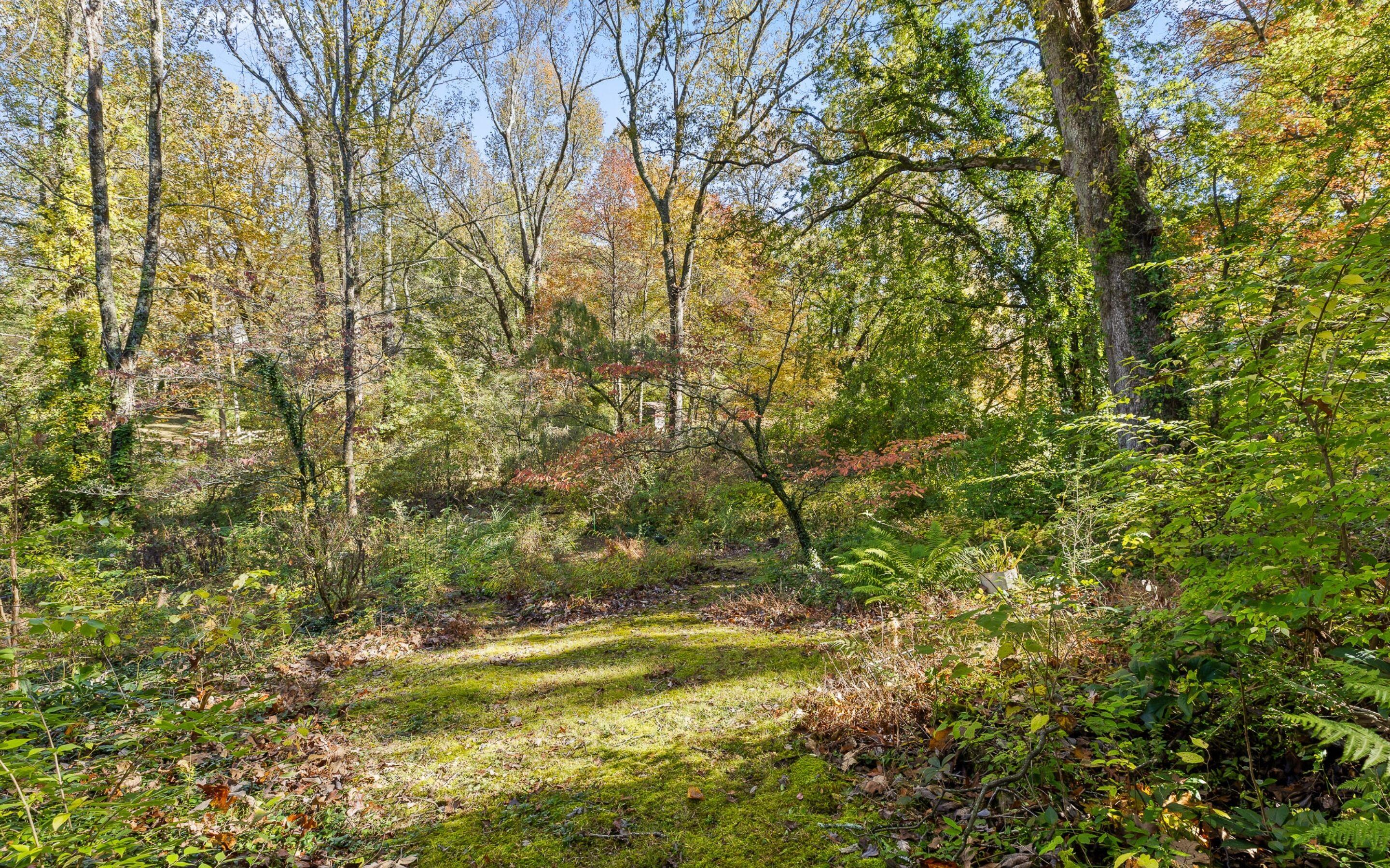 321 Signal Mountain Boulevard