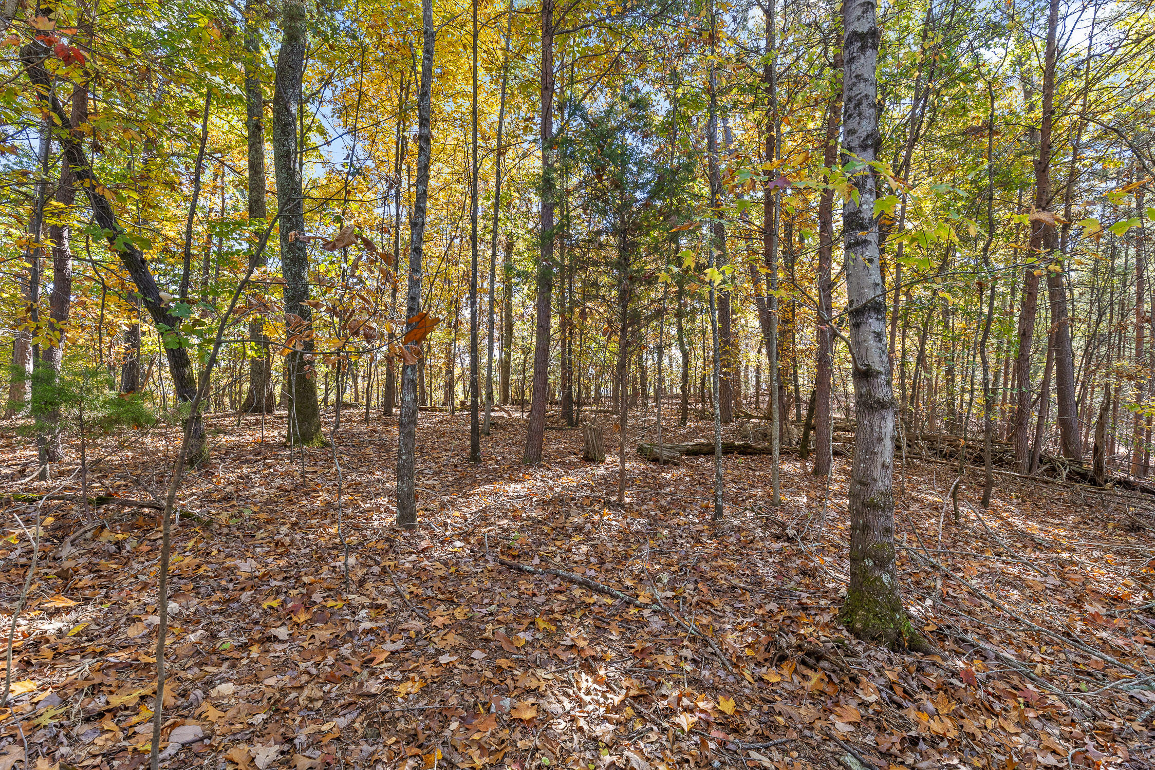 2112 River Bluff Drive