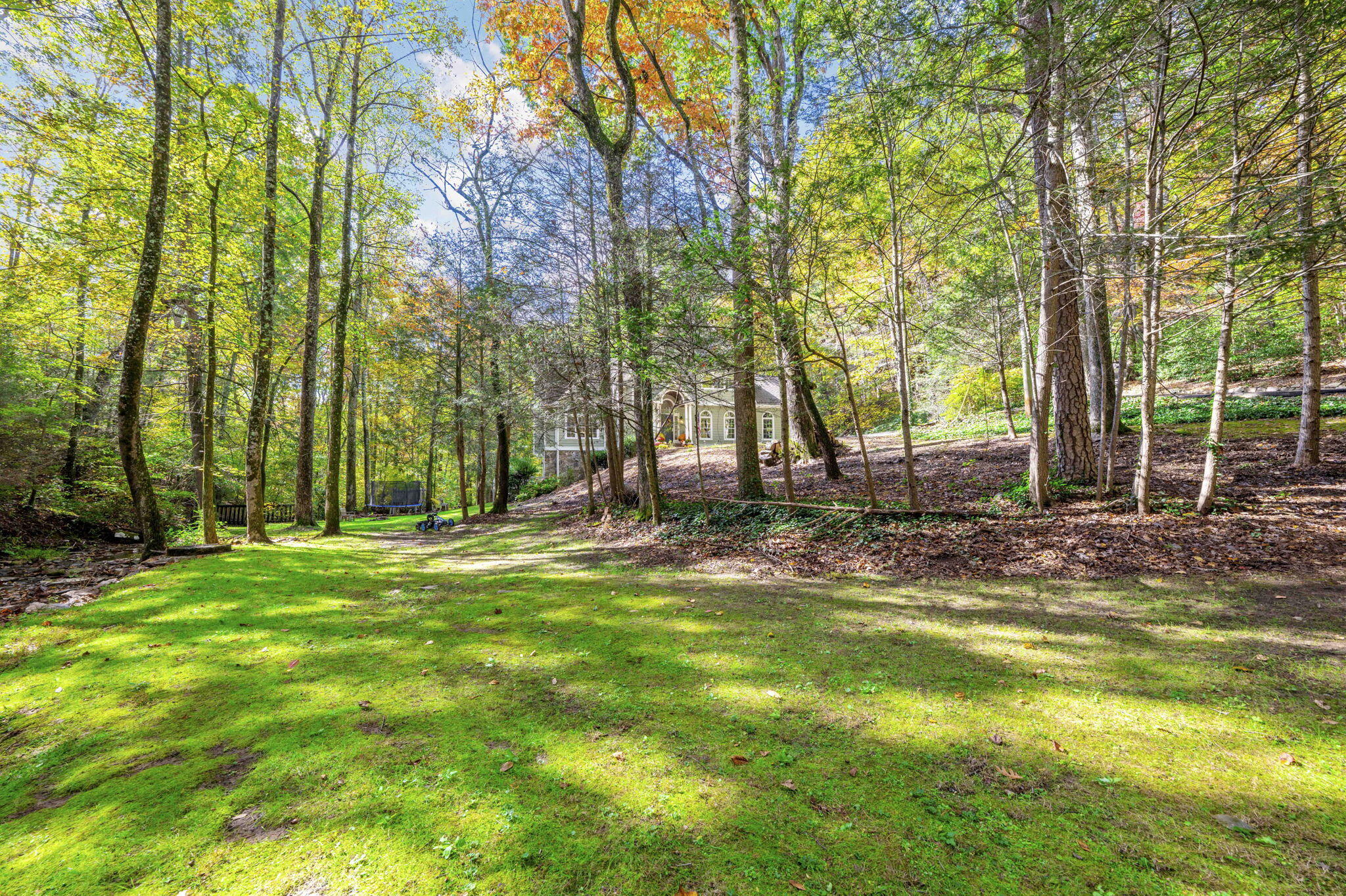 533 Fern Trail