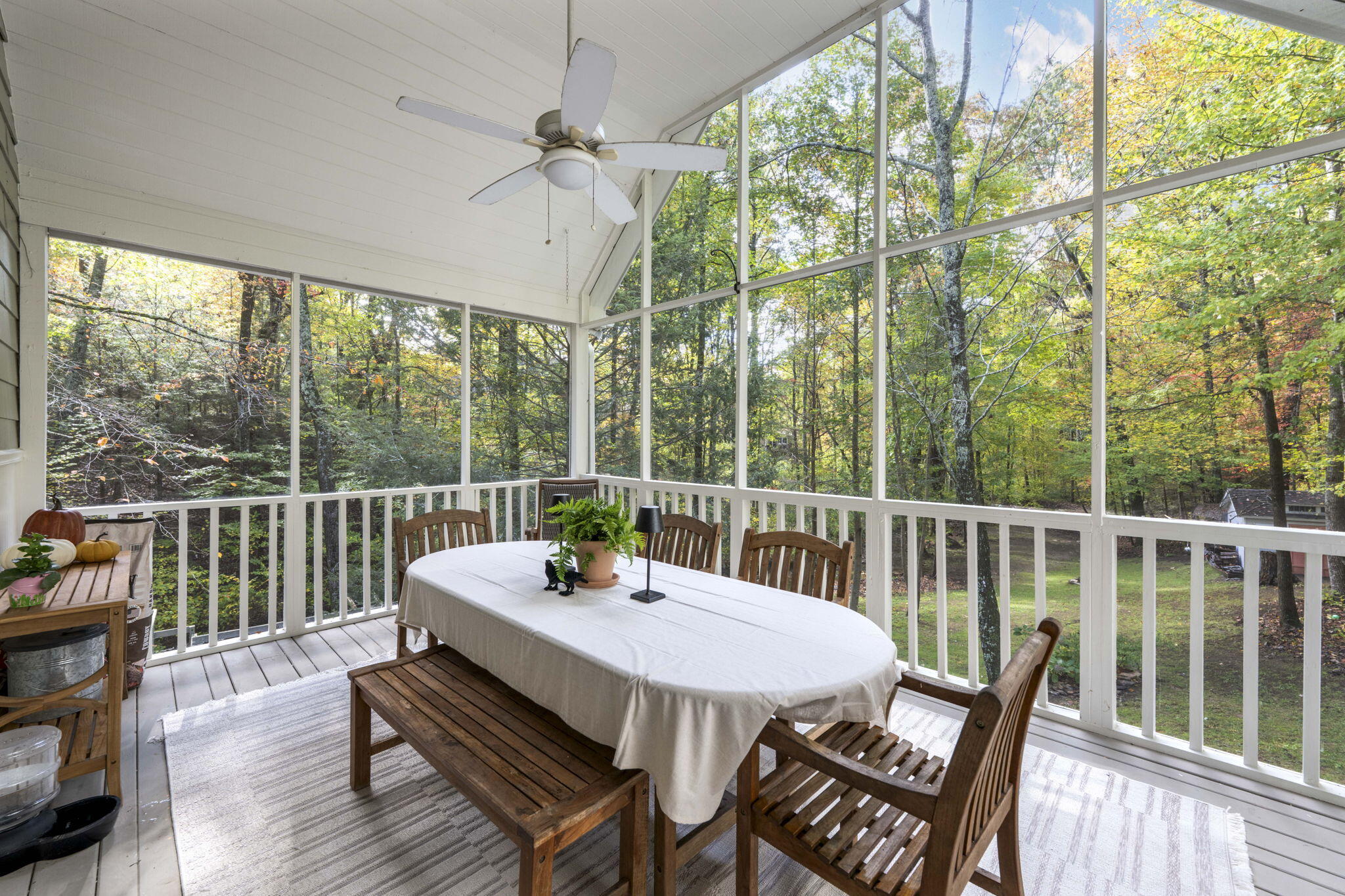 533 Fern Trail
