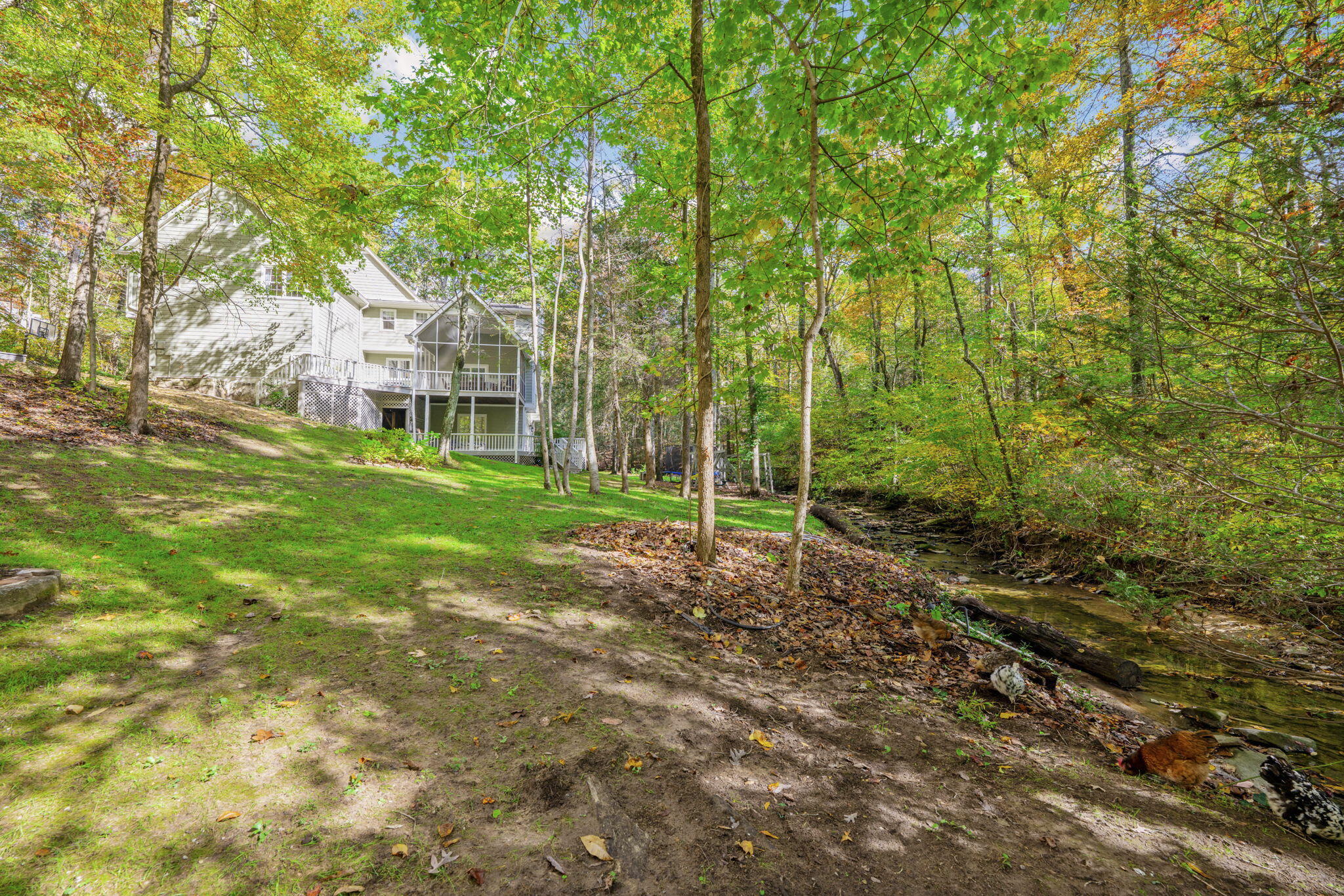 533 Fern Trail