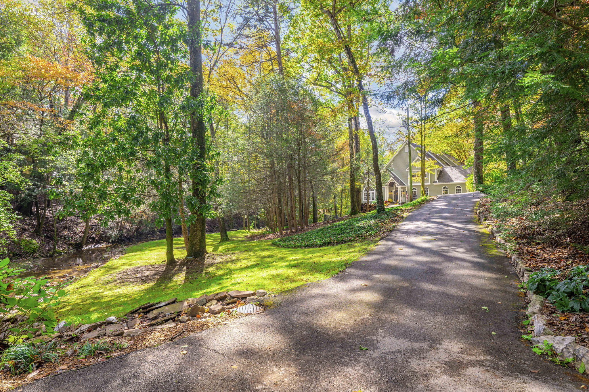 533 Fern Trail