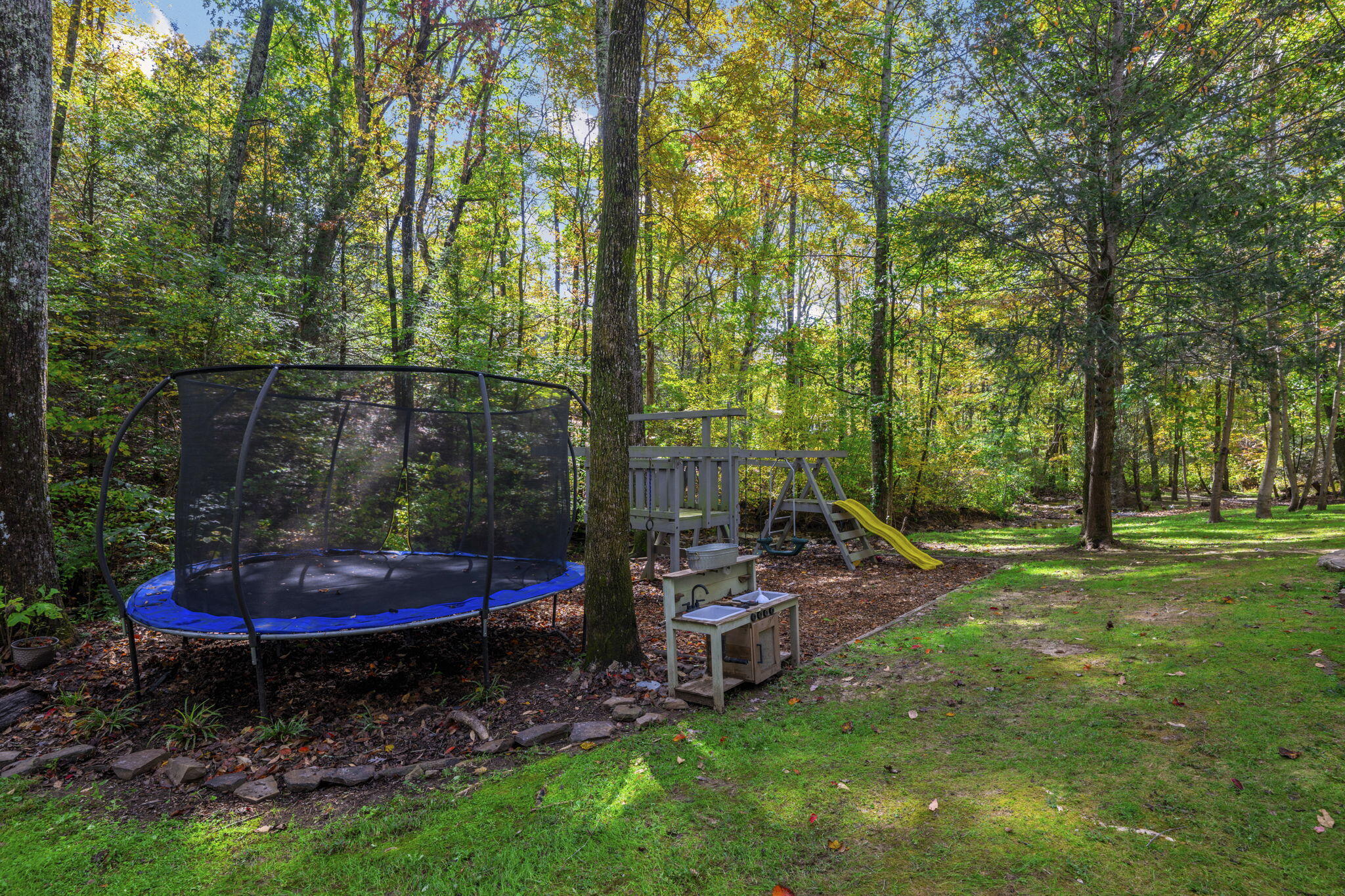 533 Fern Trail