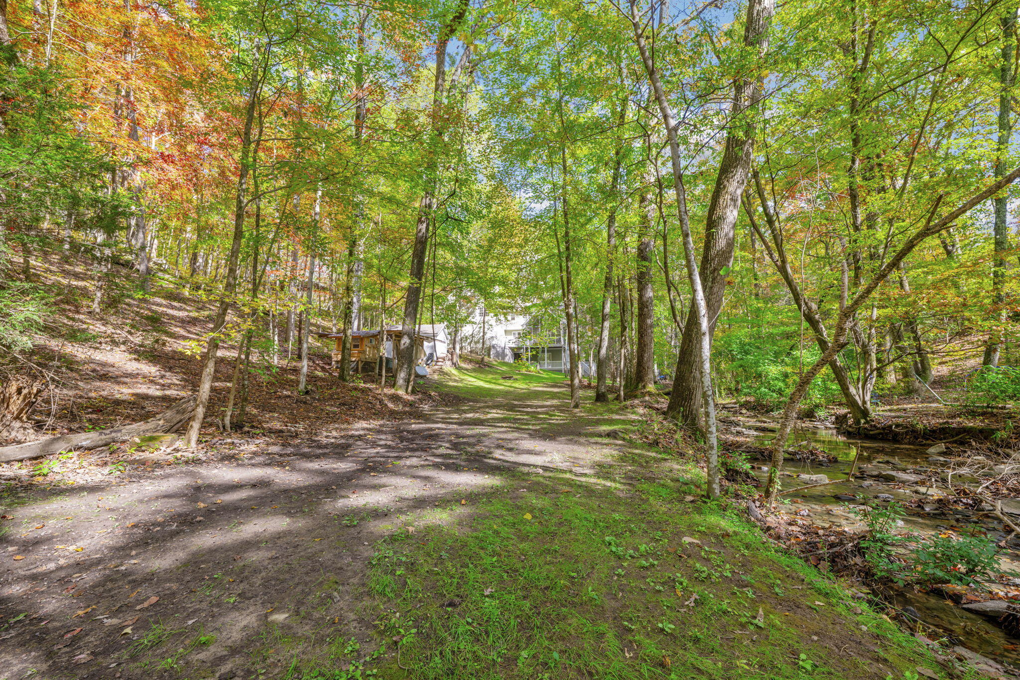 533 Fern Trail