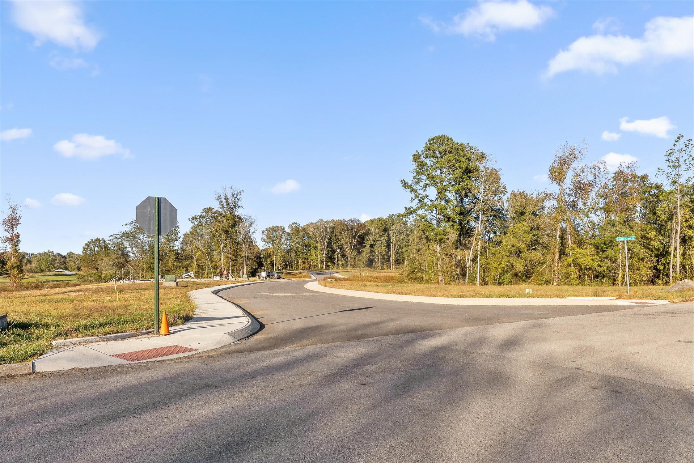 455 Council Creek Lane