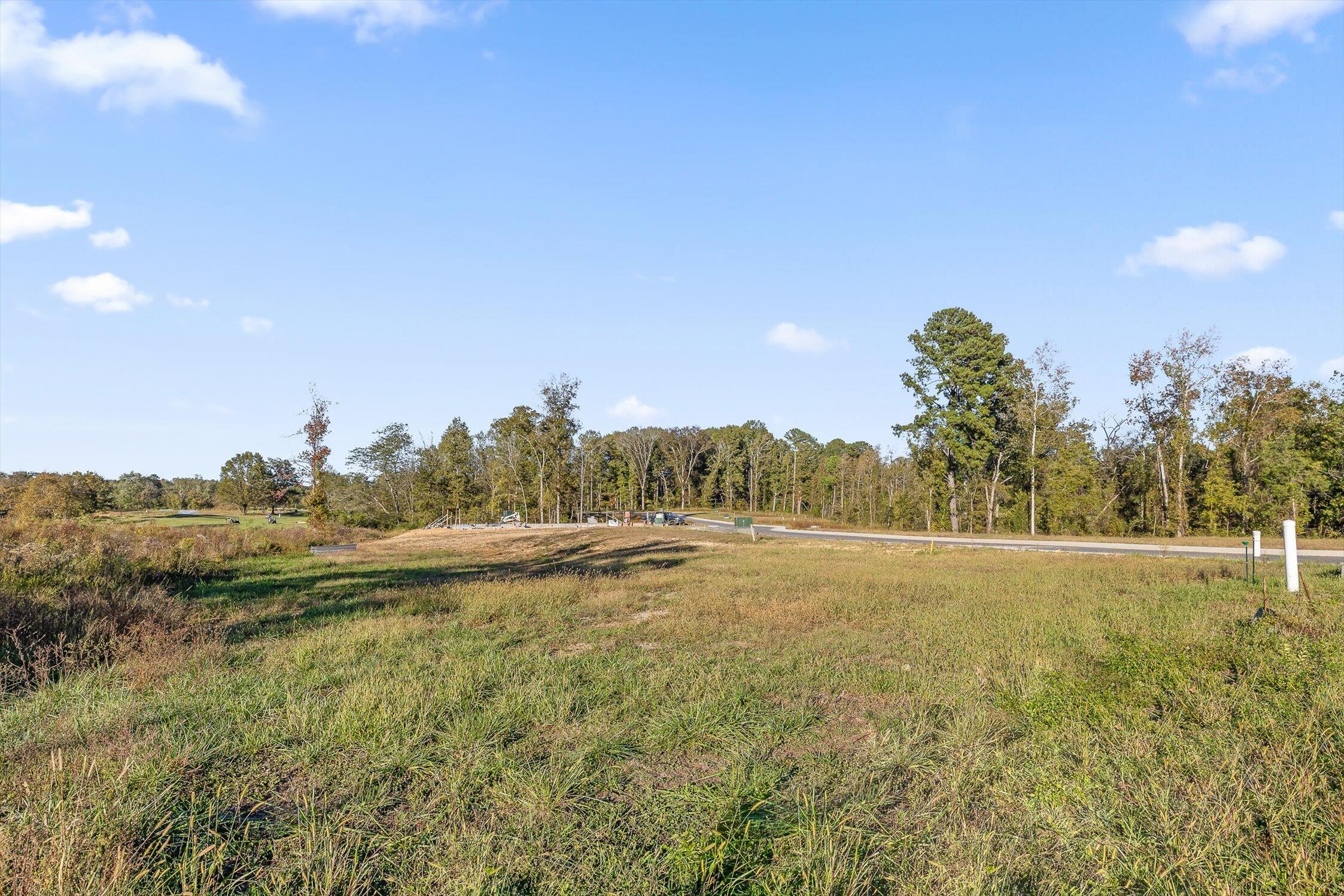 443 Council Creek Lane, Lot 3