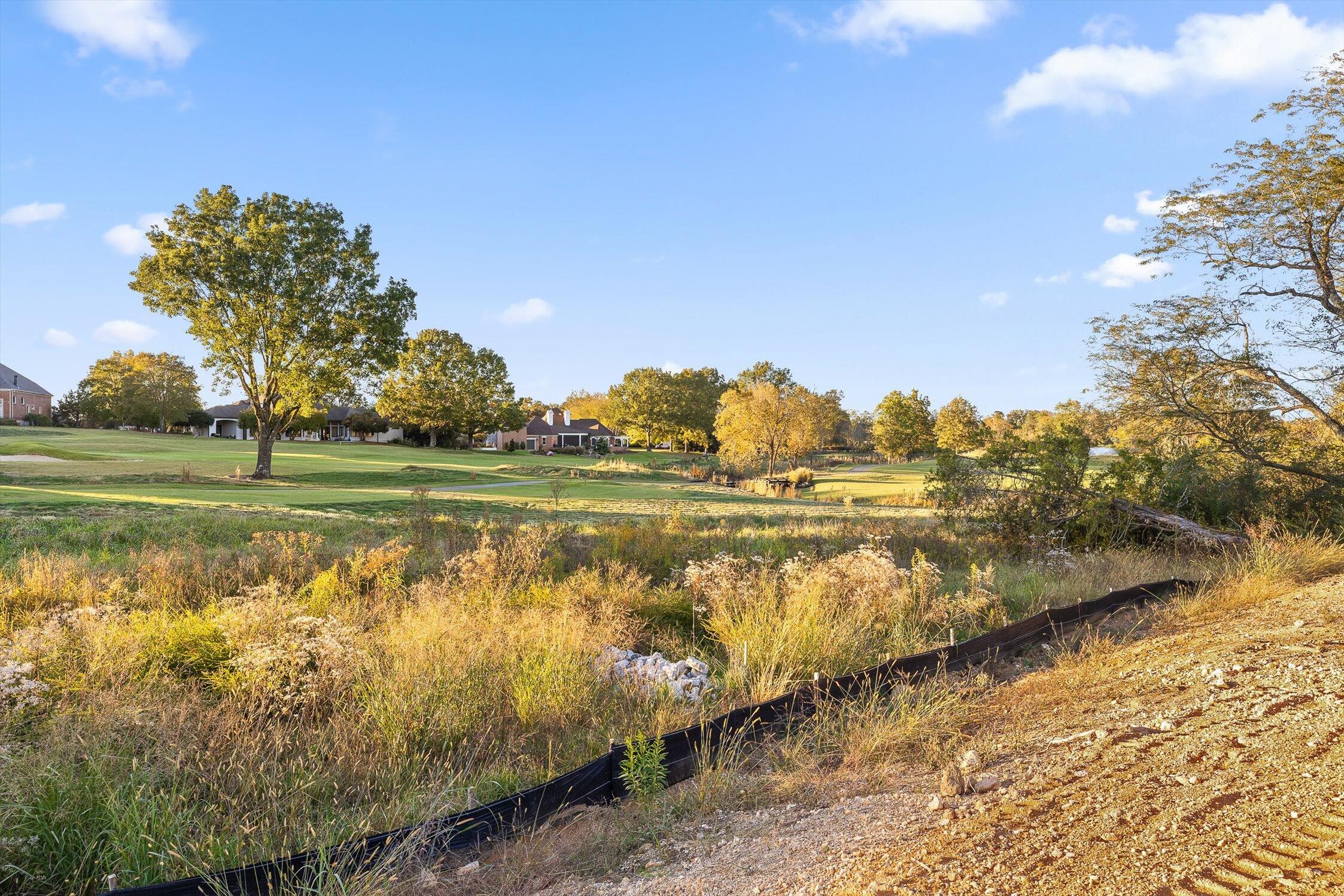 545 Council Creek Lane, Lot 9