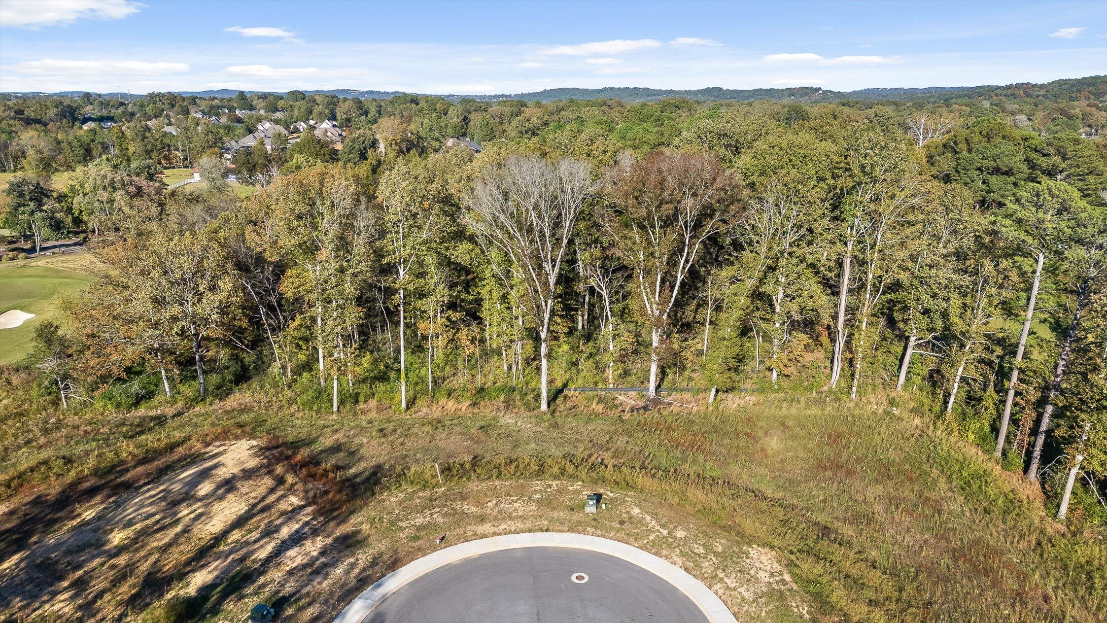 545 Council Creek Lane, Lot 9