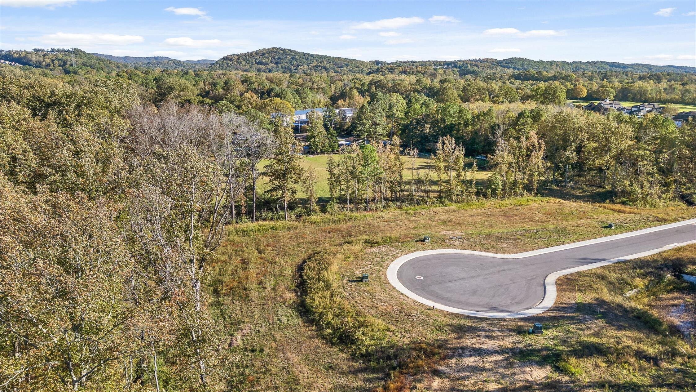 545 Council Creek Lane, Lot 9
