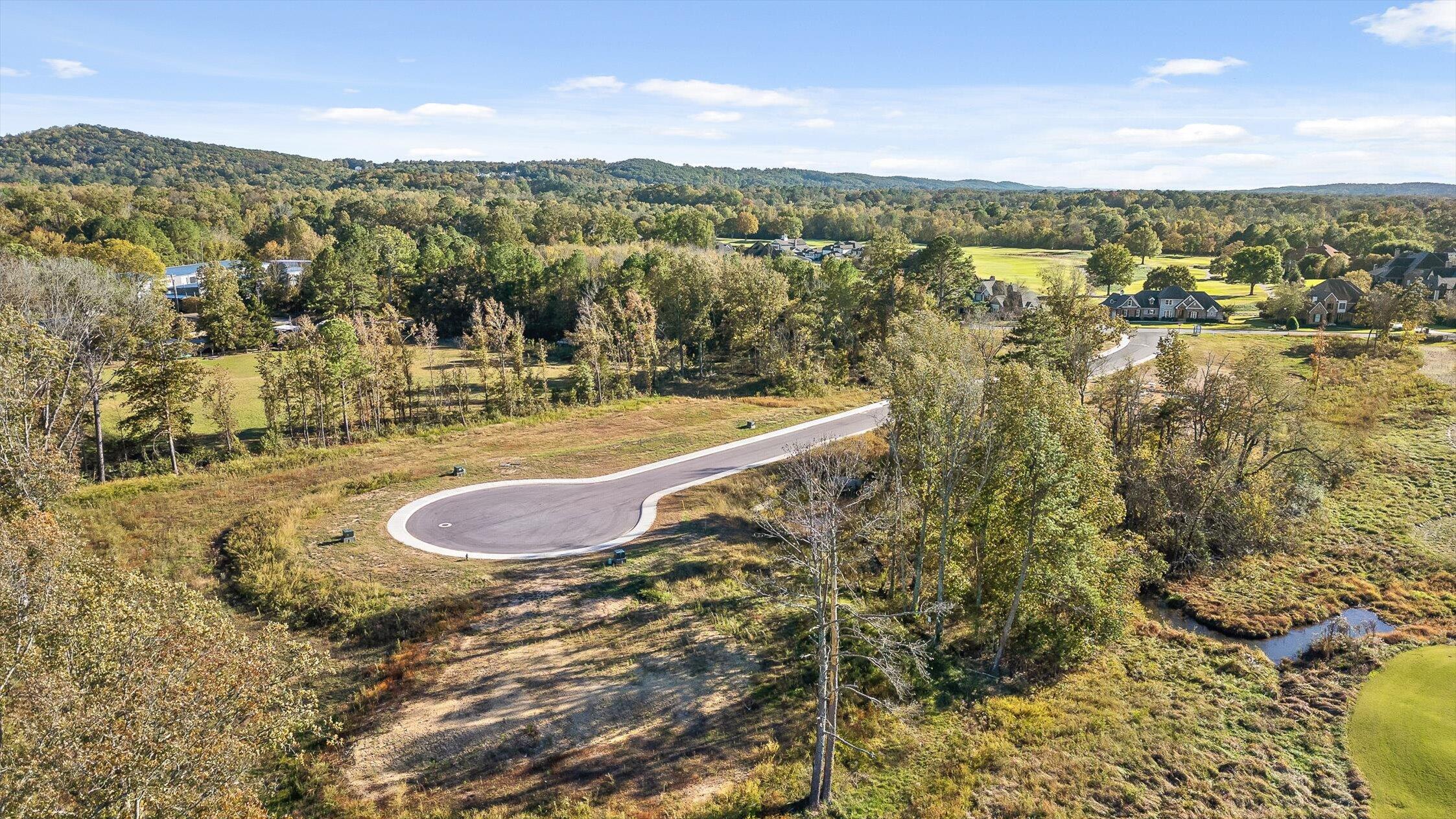 536 Council Creek Lane, Lot 11