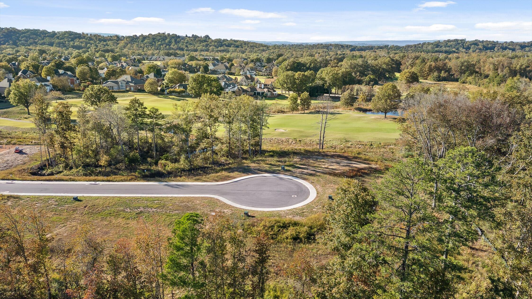 536 Council Creek Lane, Lot 11