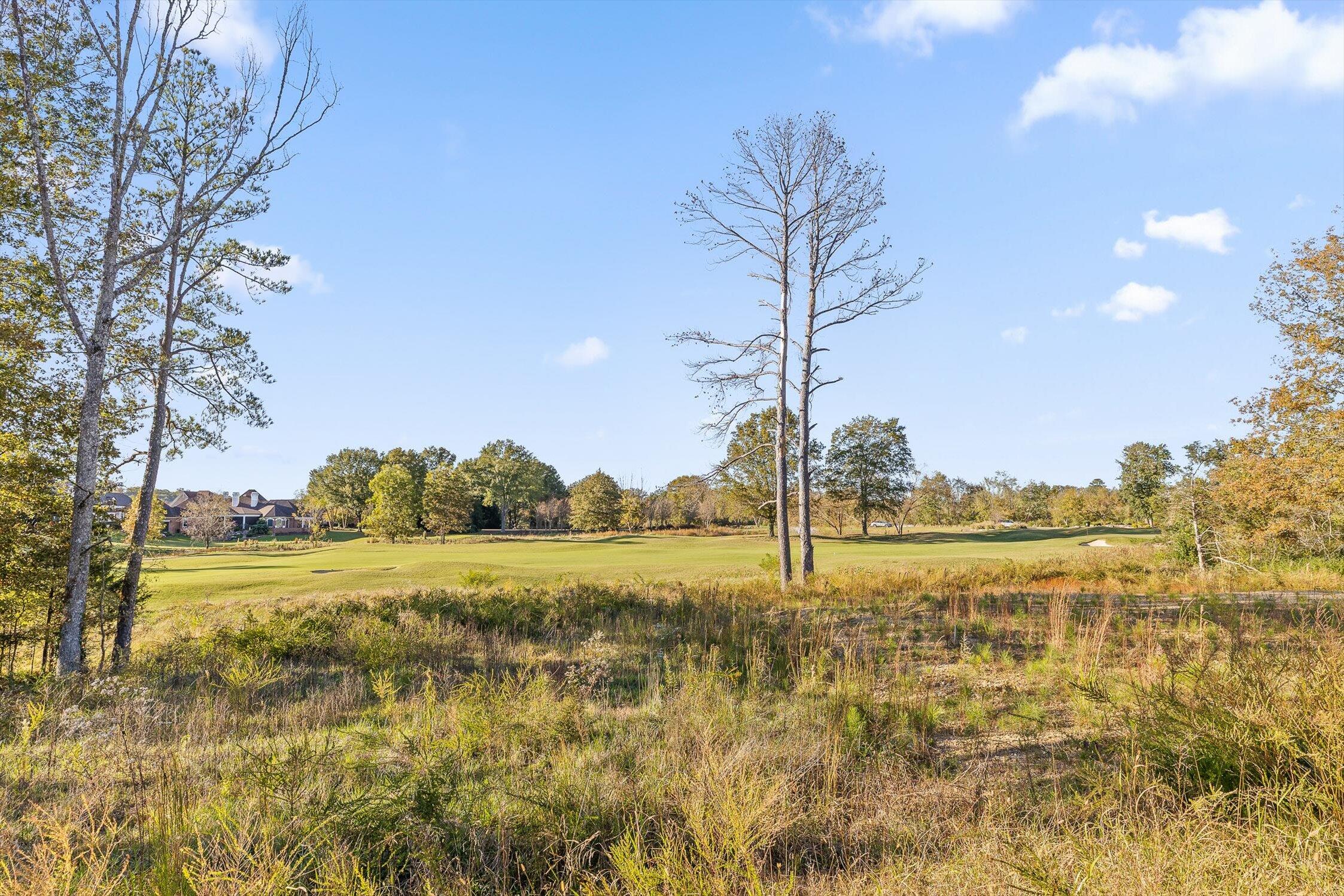510 Council Creek Lane, Lot 13