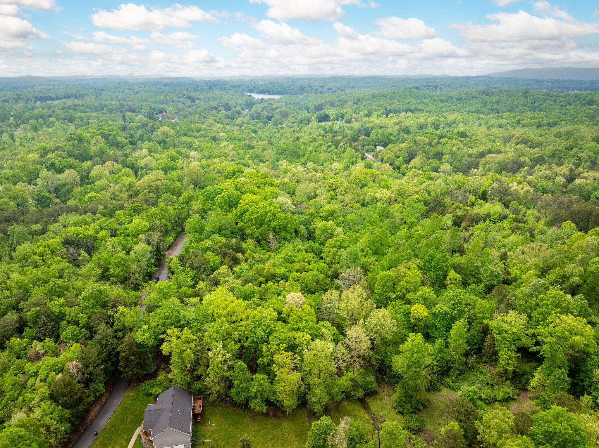 14009 Mt Annie Church Road