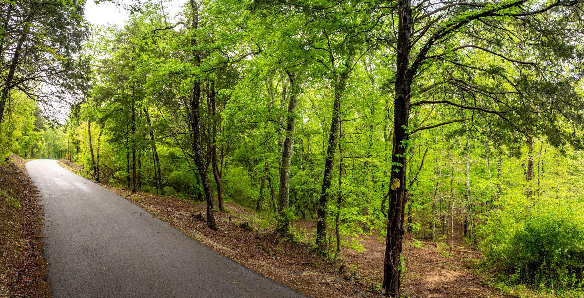 14009 Mt Annie Church Road