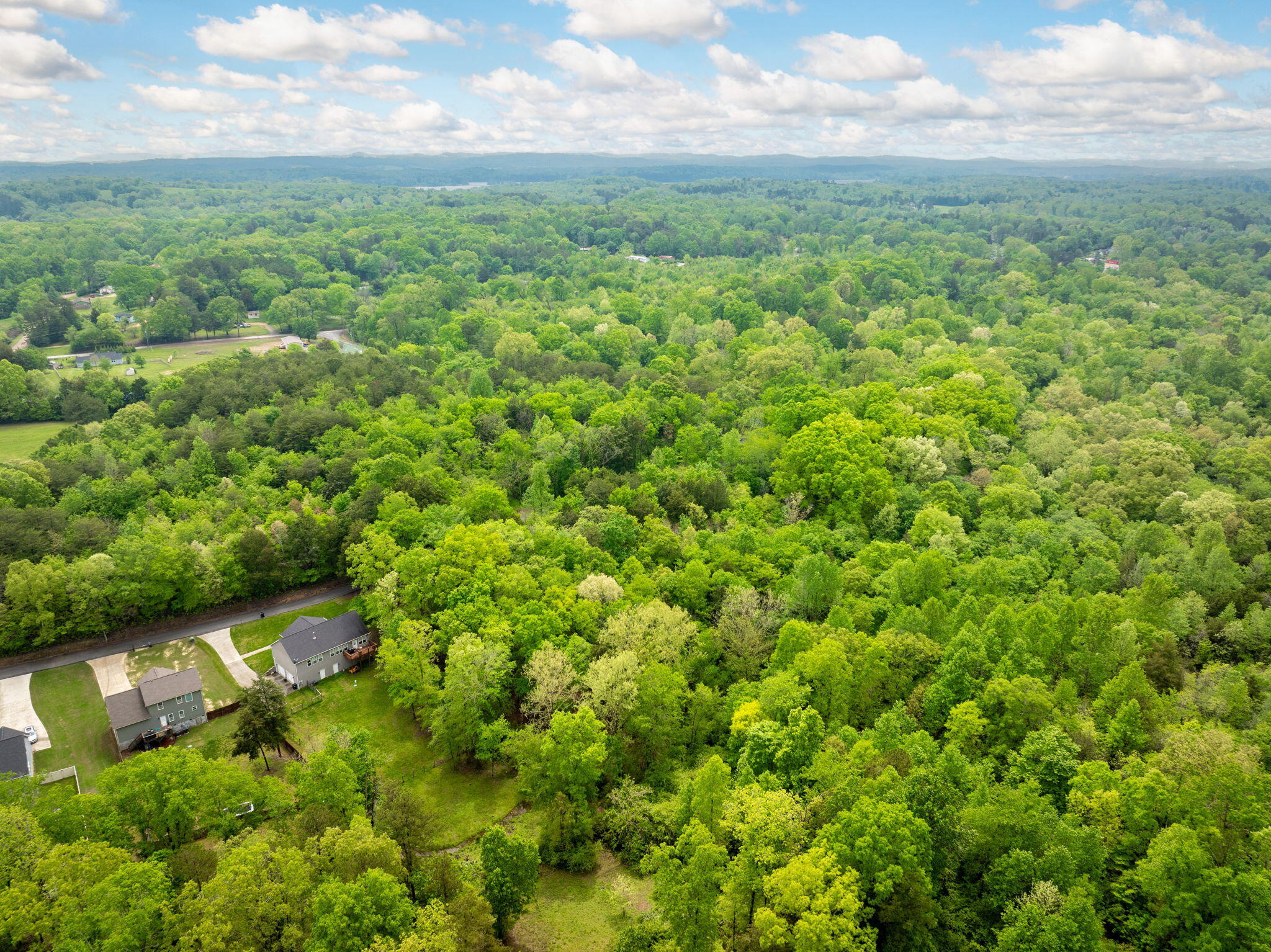 14009 Mt Annie Church Road