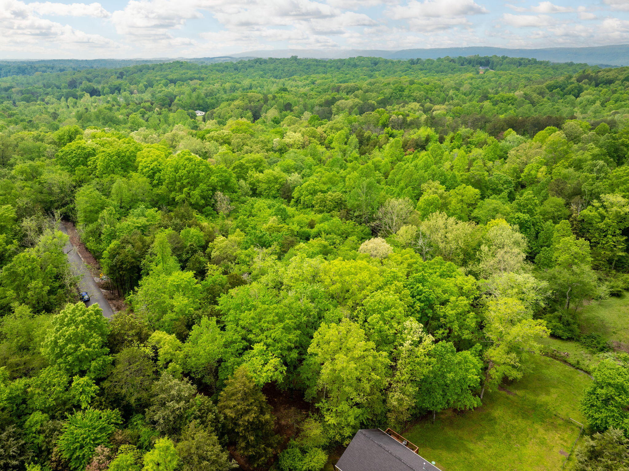 14009 Mt Annie Church Road