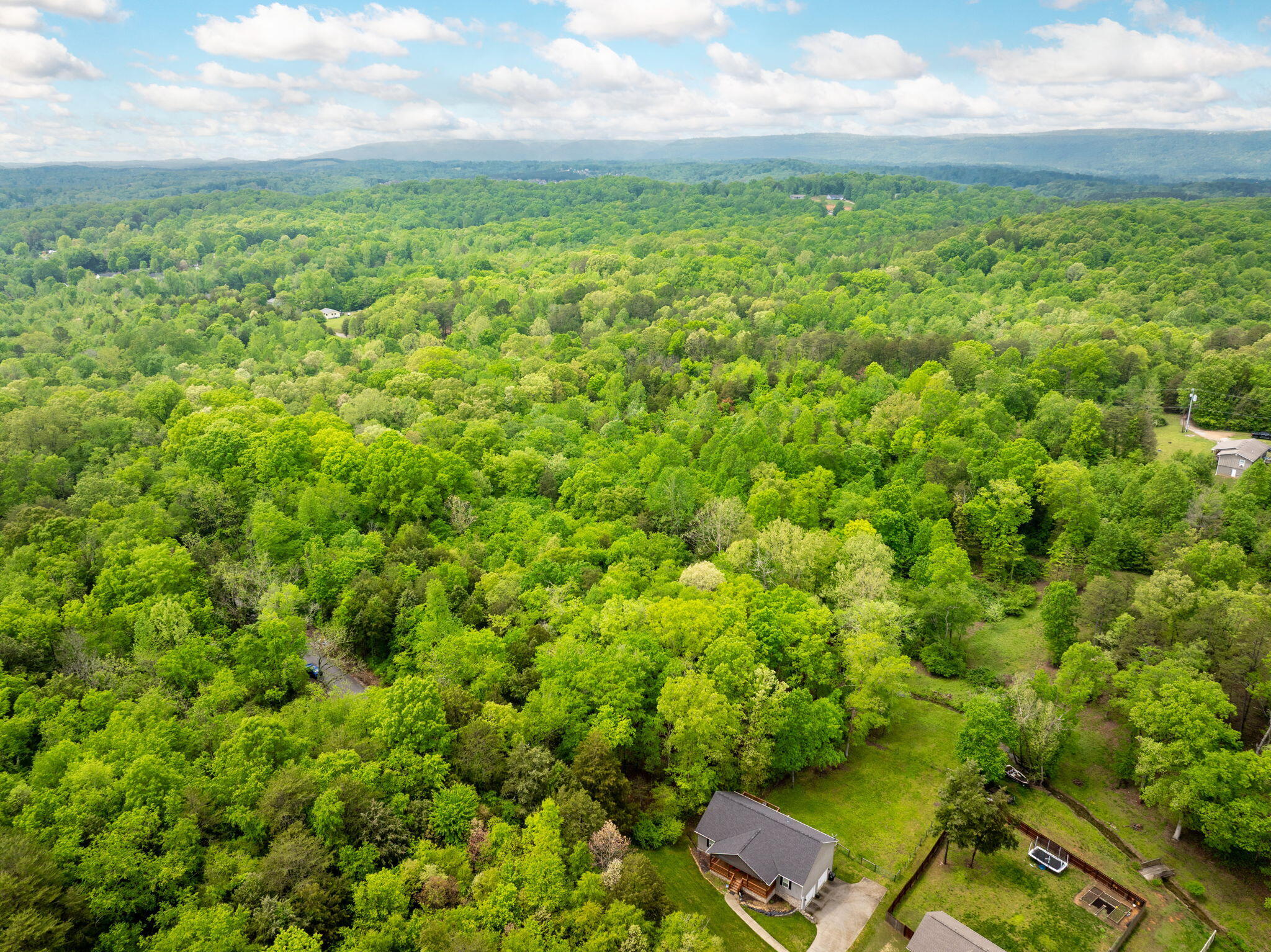 14009 Mt Annie Church Road