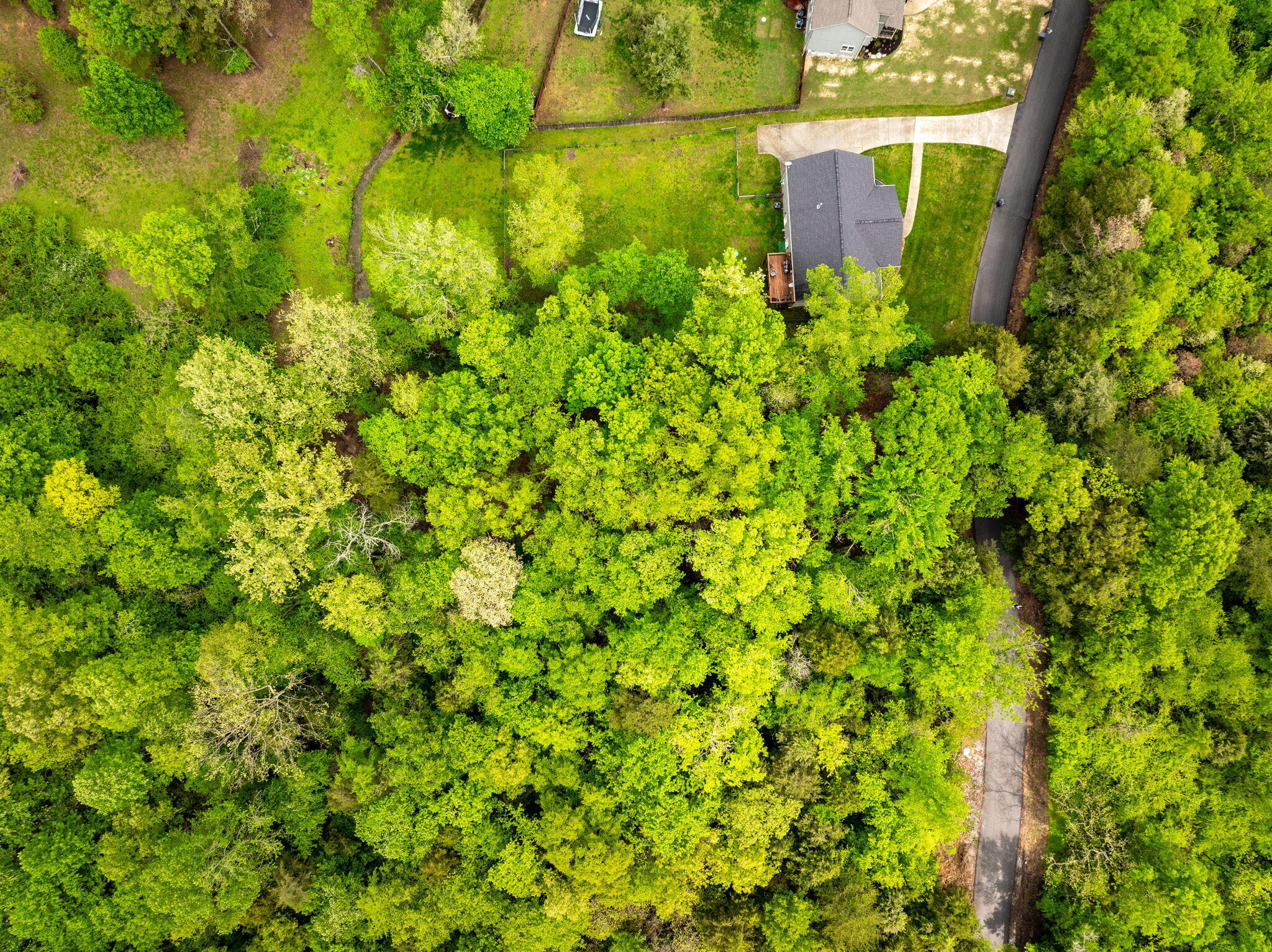 14009 Mt Annie Church Road