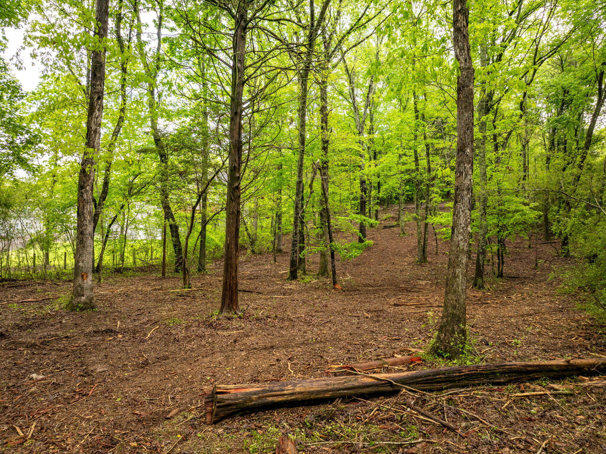 14009 Mt Annie Church Road