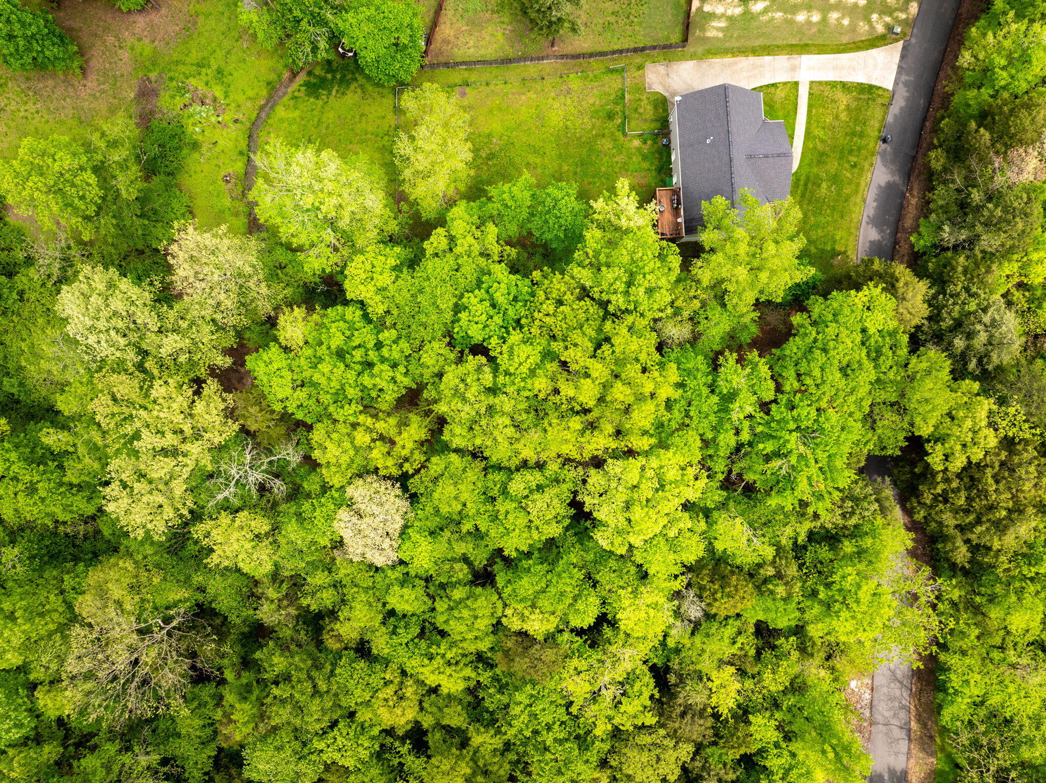 14009 Mt Annie Church Road