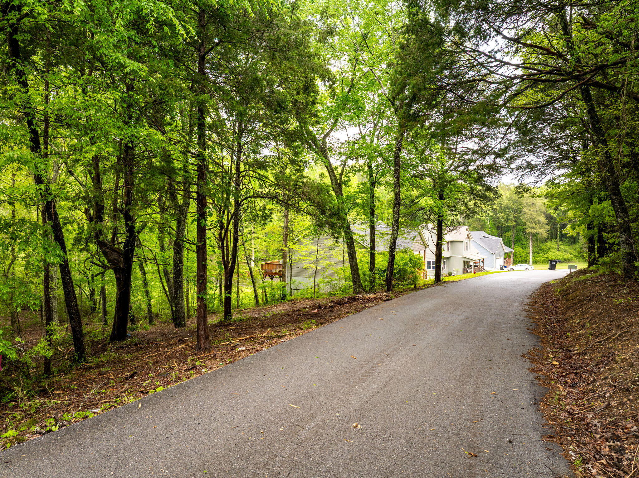 14009 Mt Annie Church Road