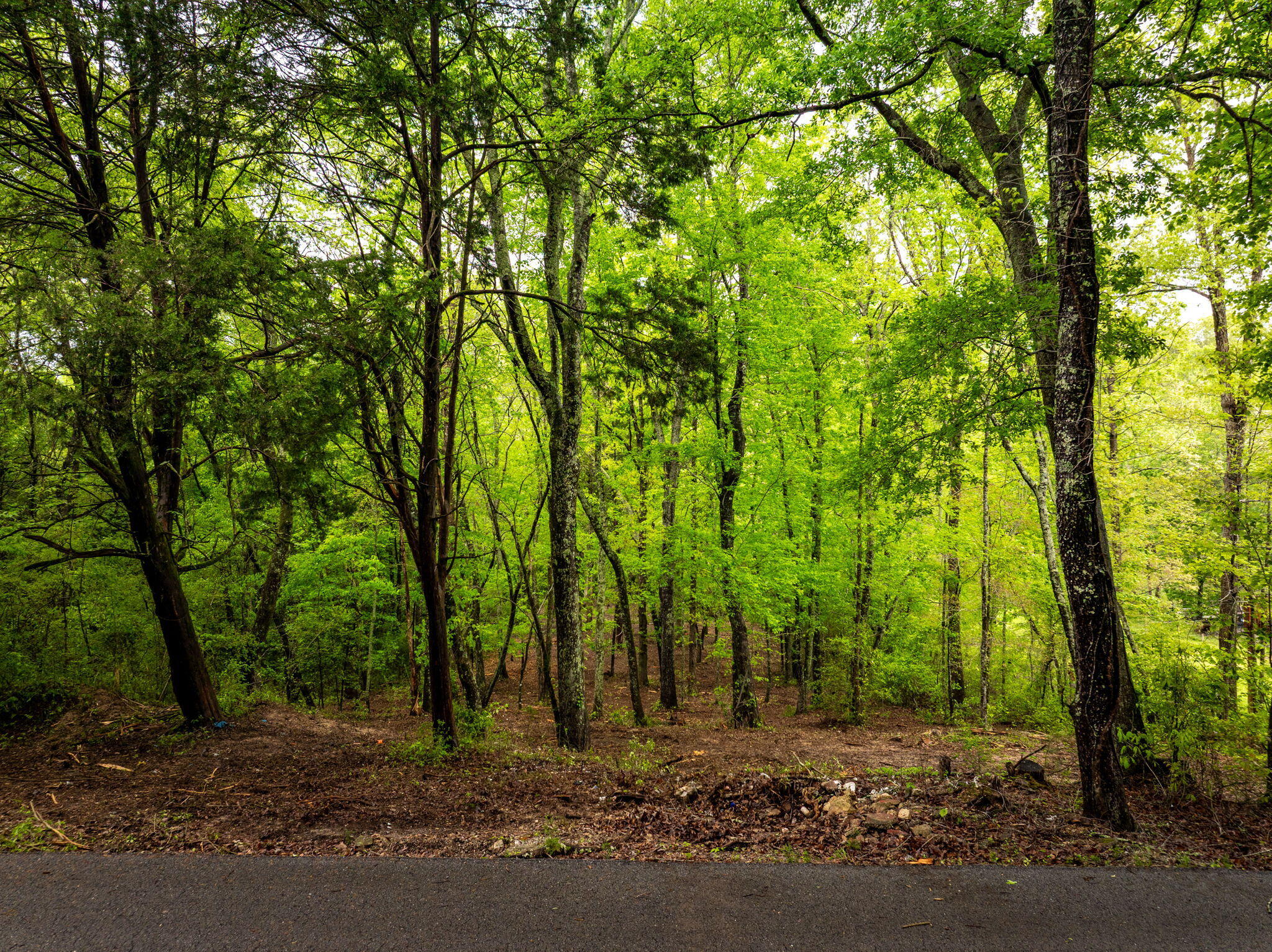 14009 Mt Annie Church Road