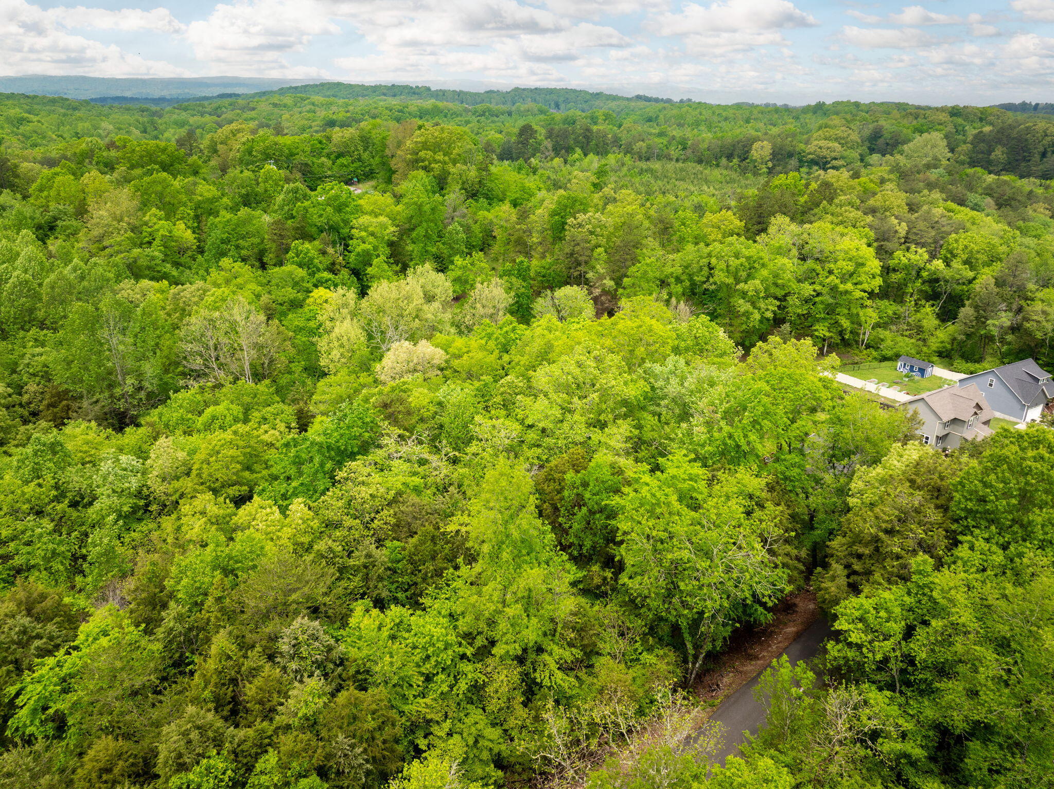 14009 Mt Annie Church Road