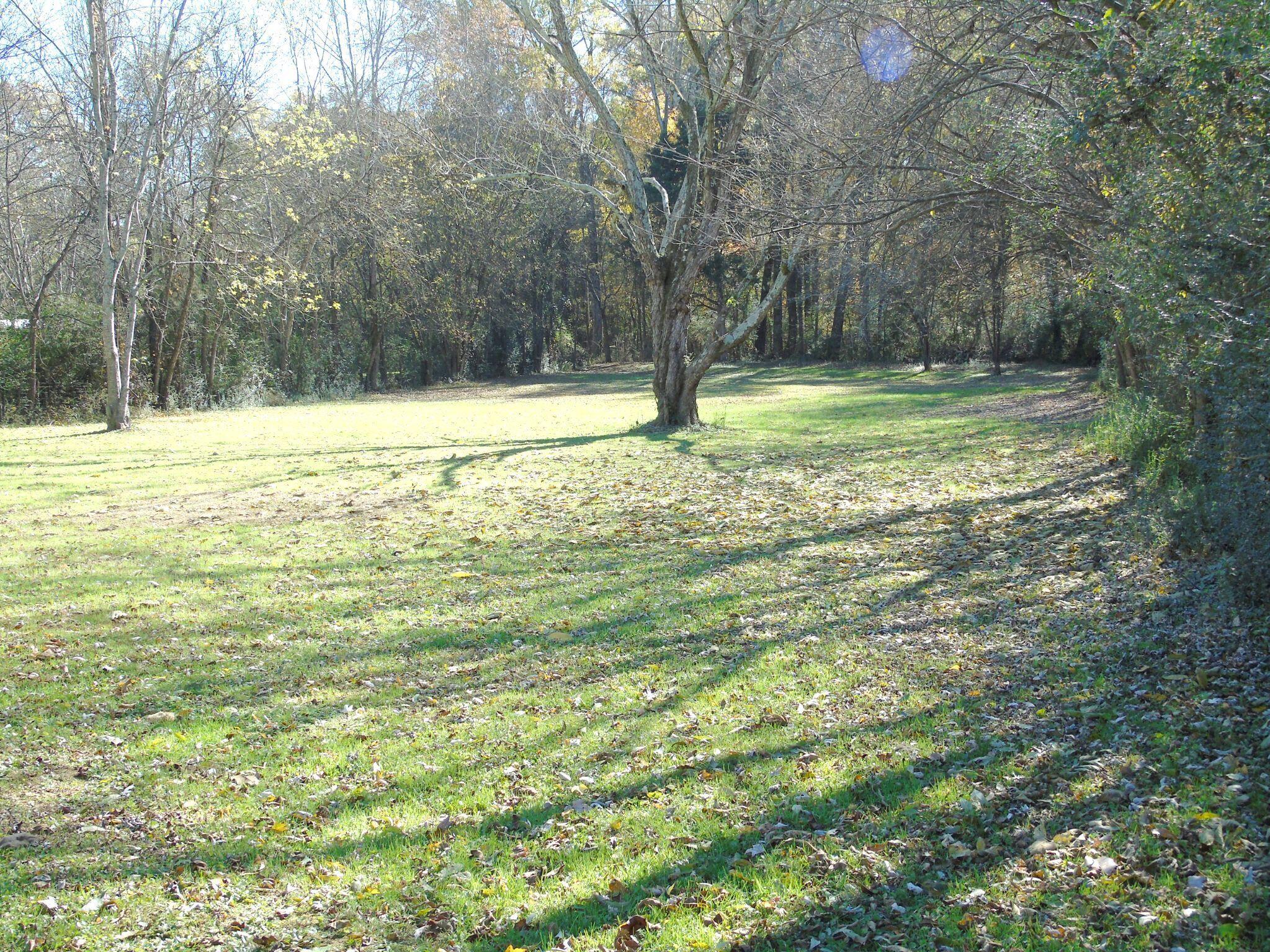 1102 Nickajack Cr. Circle