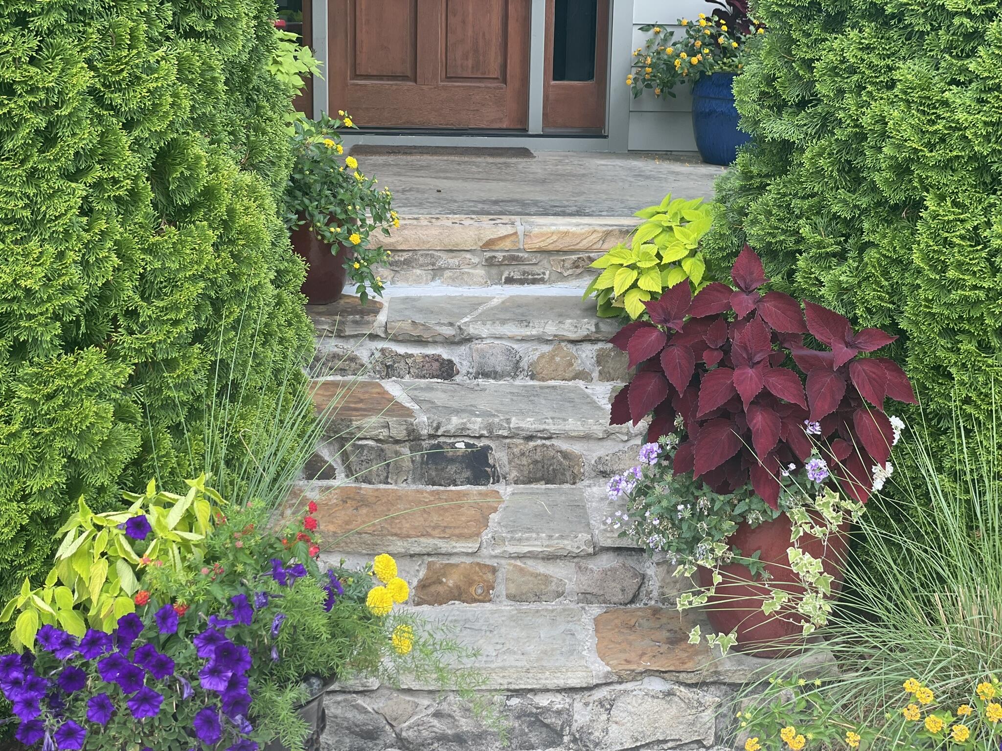 851 River Gorge Drive