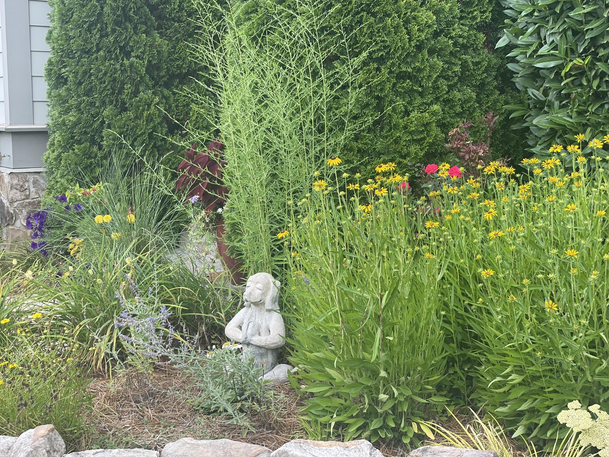 851 River Gorge Drive