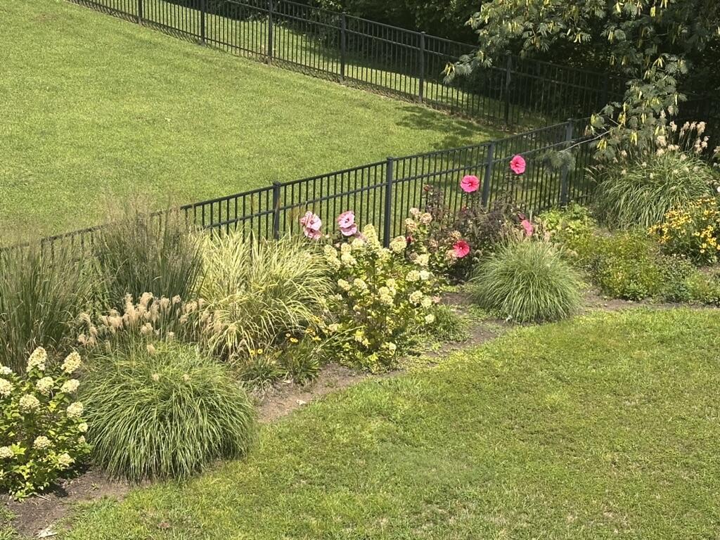 851 River Gorge Drive