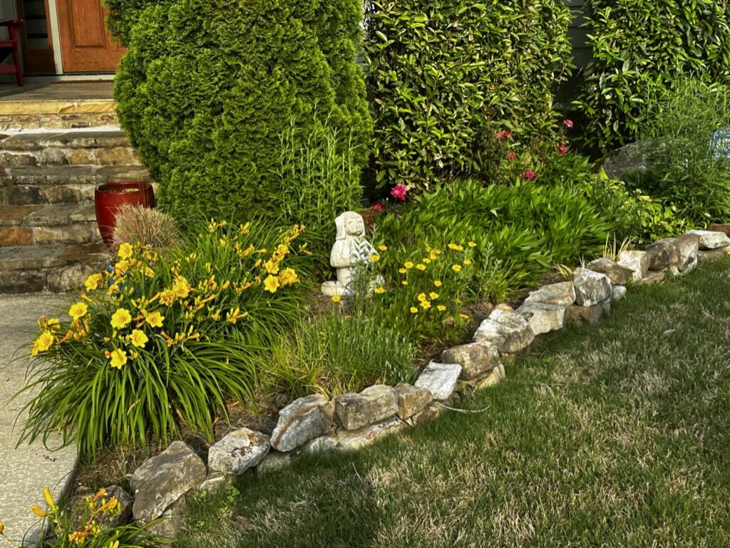 851 River Gorge Drive