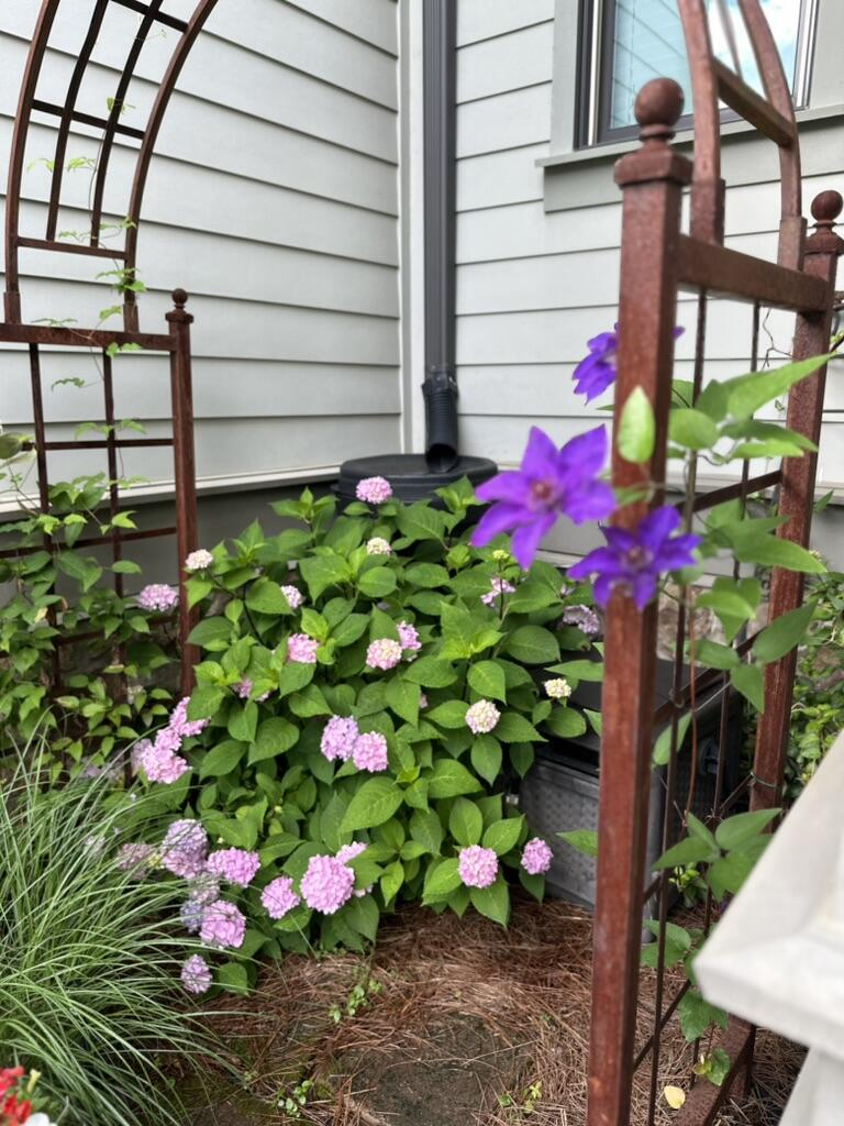 851 River Gorge Drive