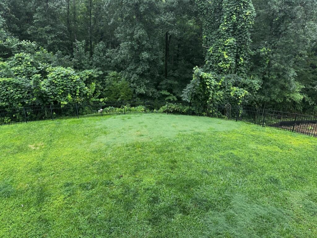 851 River Gorge Drive