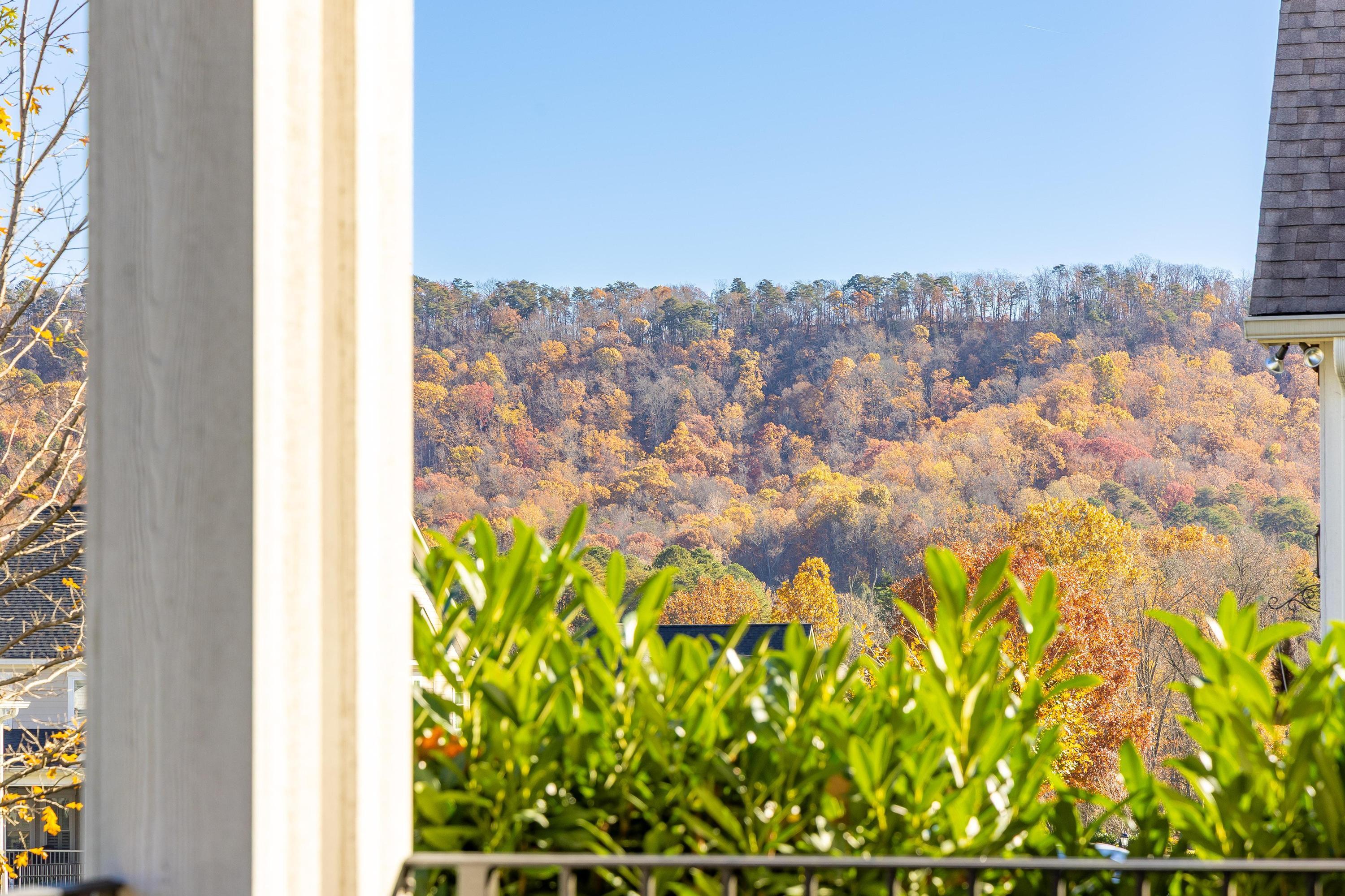 9230 White Ash Drive