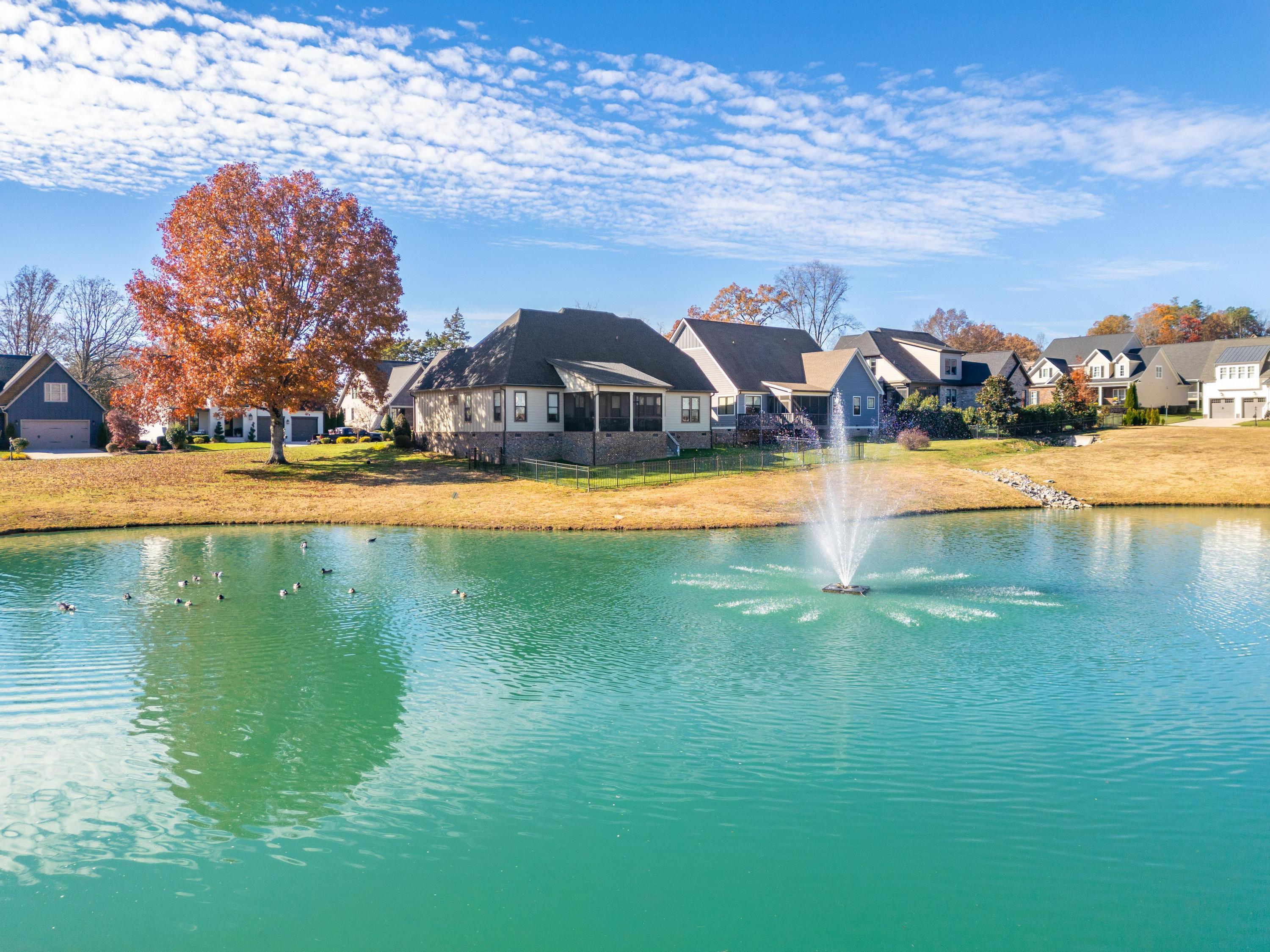 9230 White Ash Drive