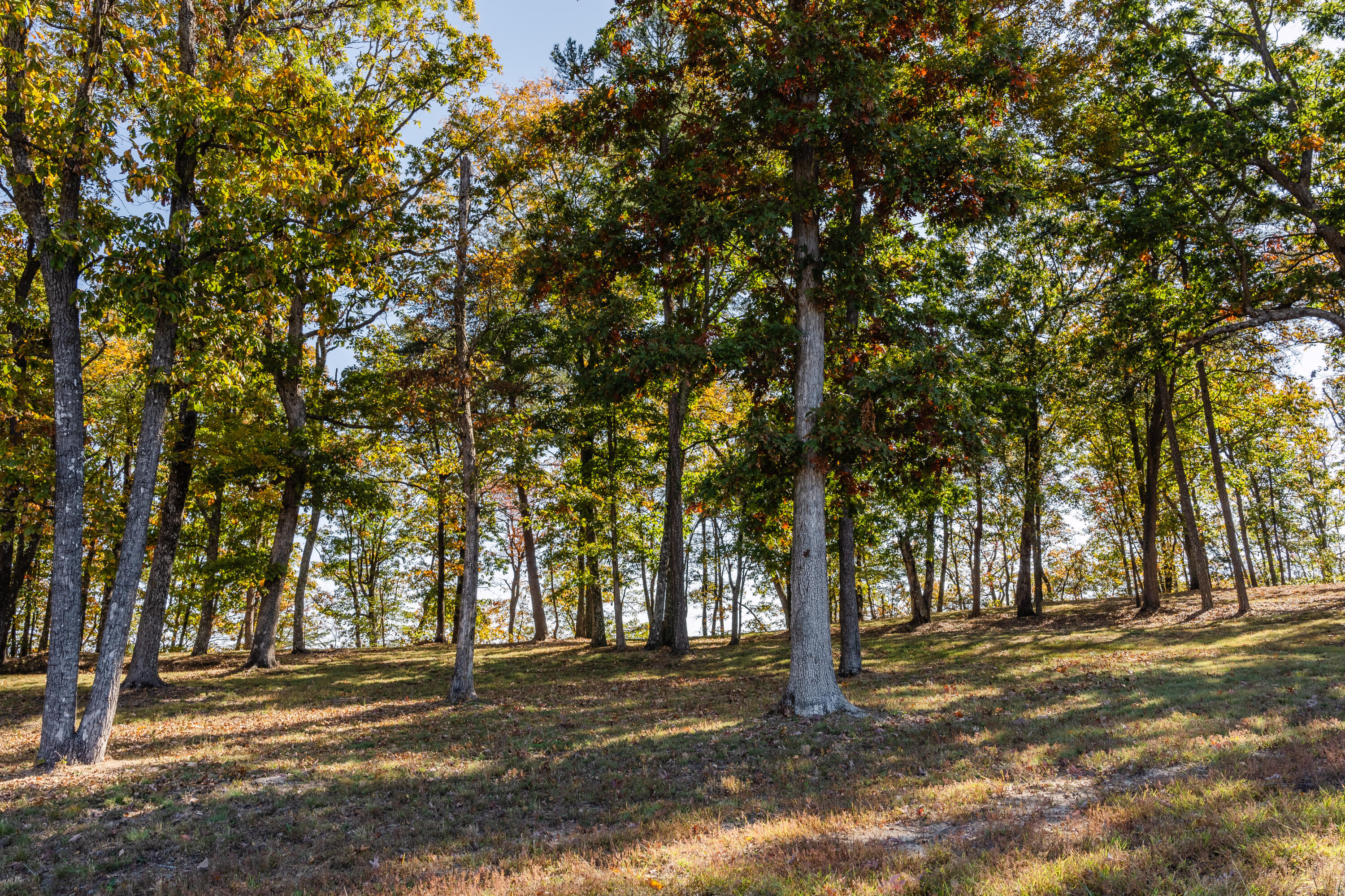 4107 Amethyst Road, 801