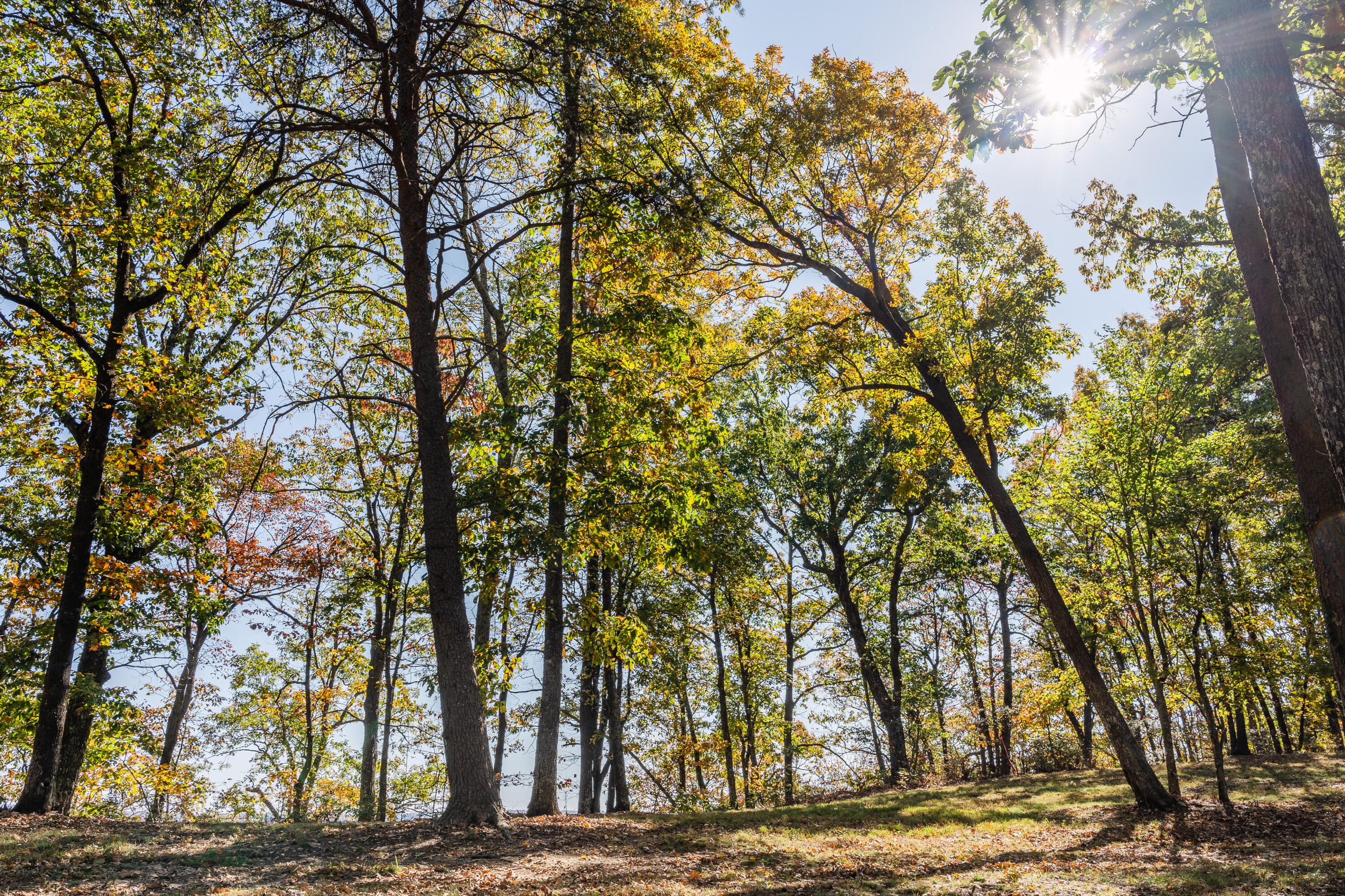 4107 Amethyst Road, 801