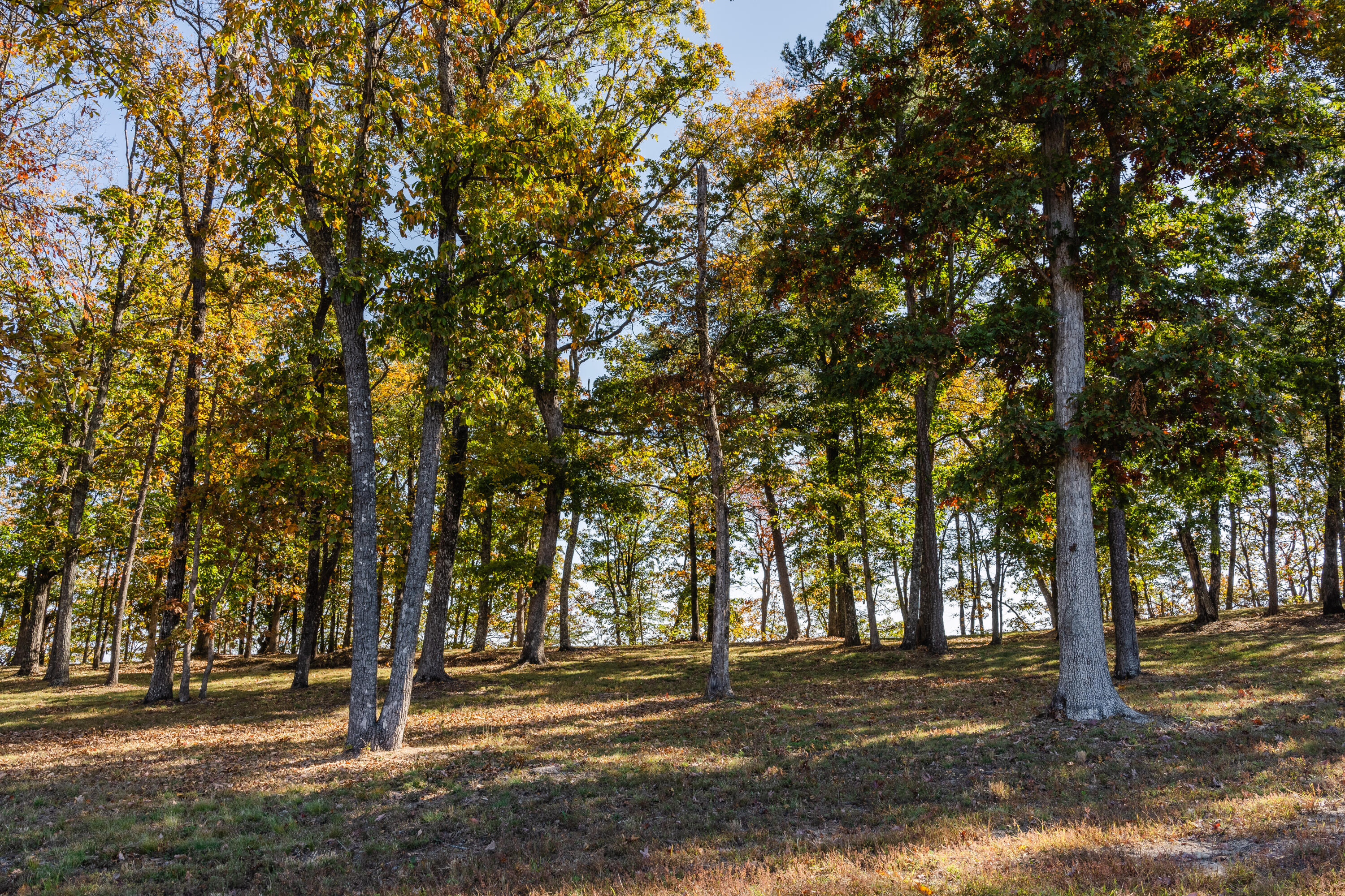 4107 Amethyst Road, 801