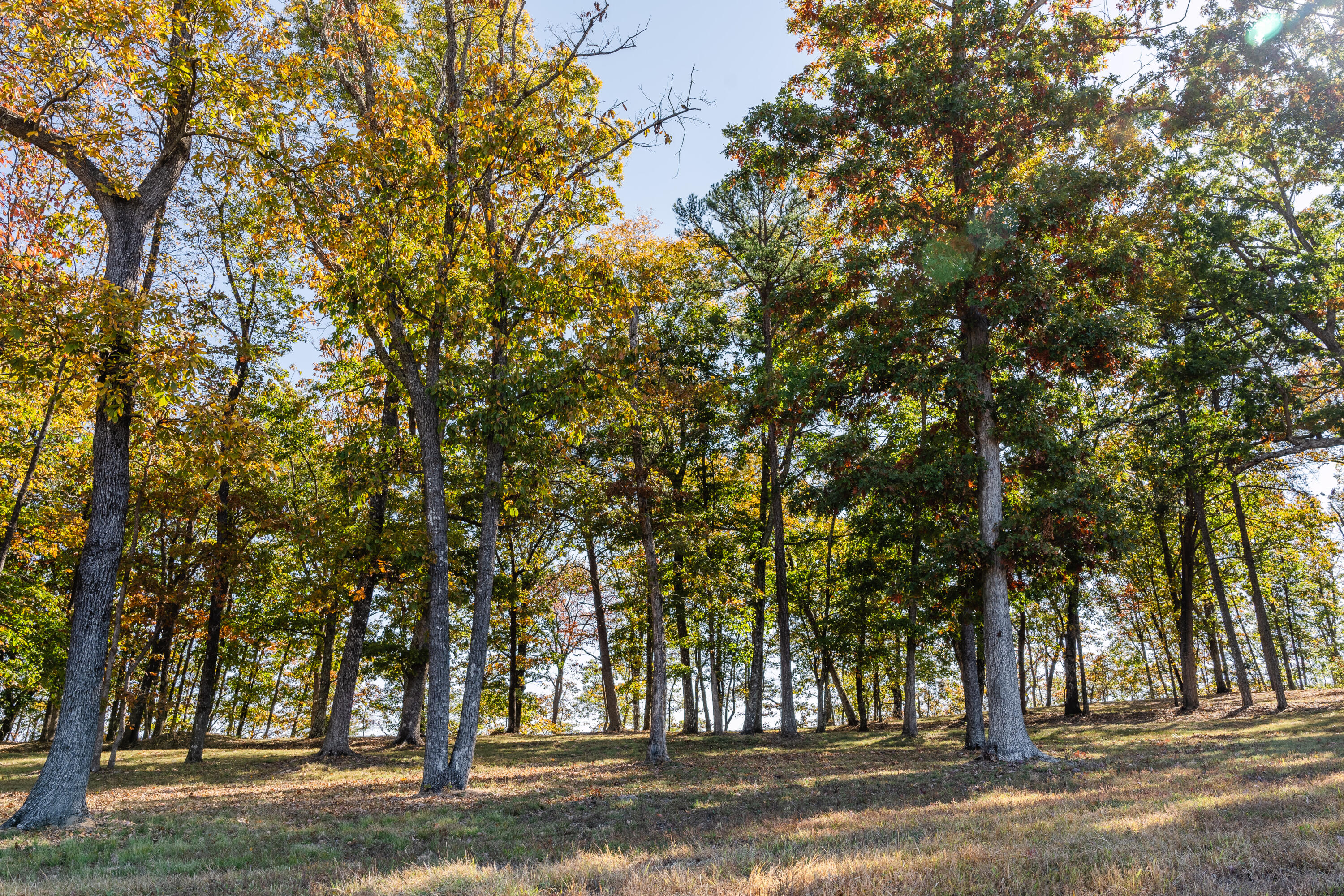 4107 Amethyst Road, 801