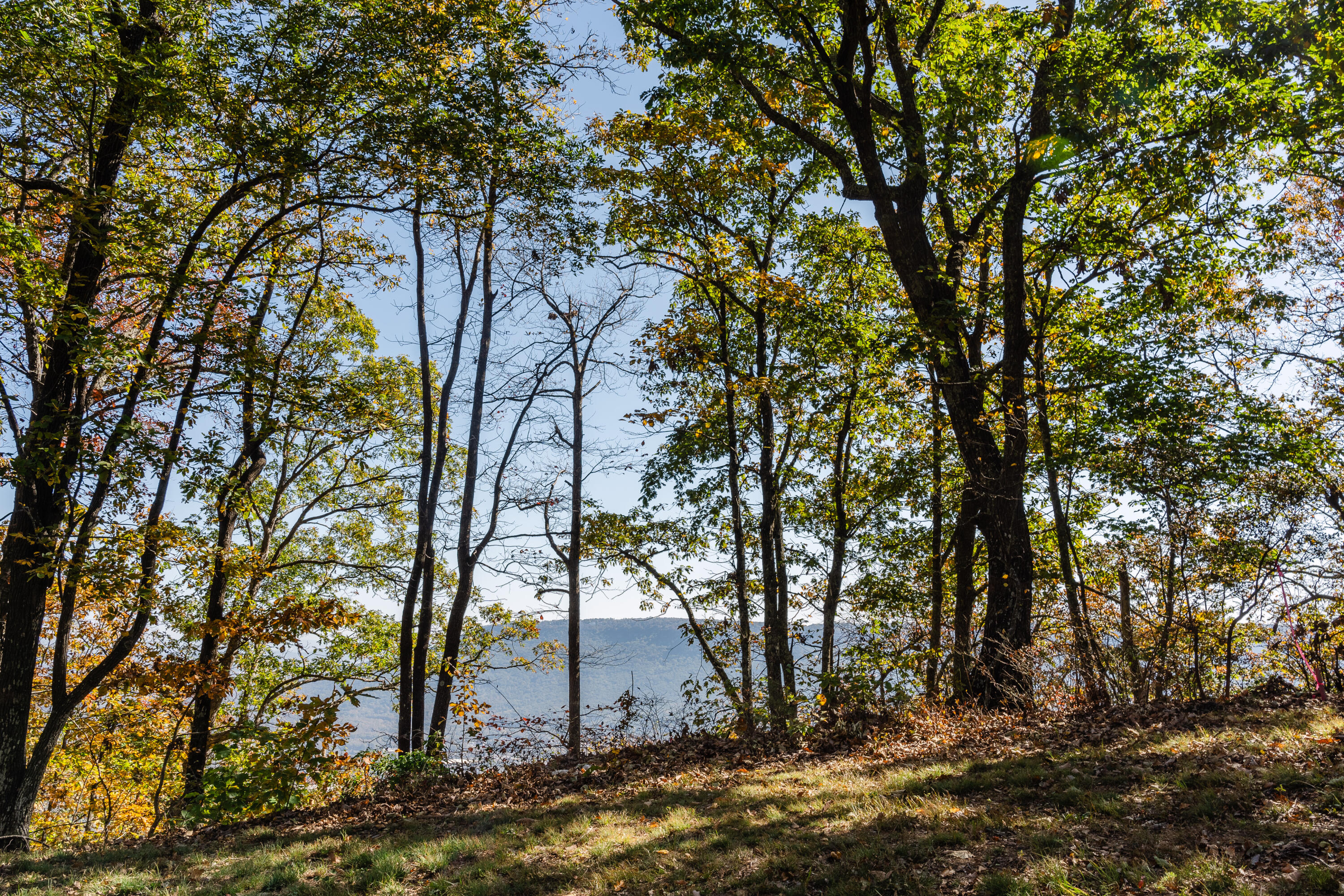 4107 Amethyst Road, 801