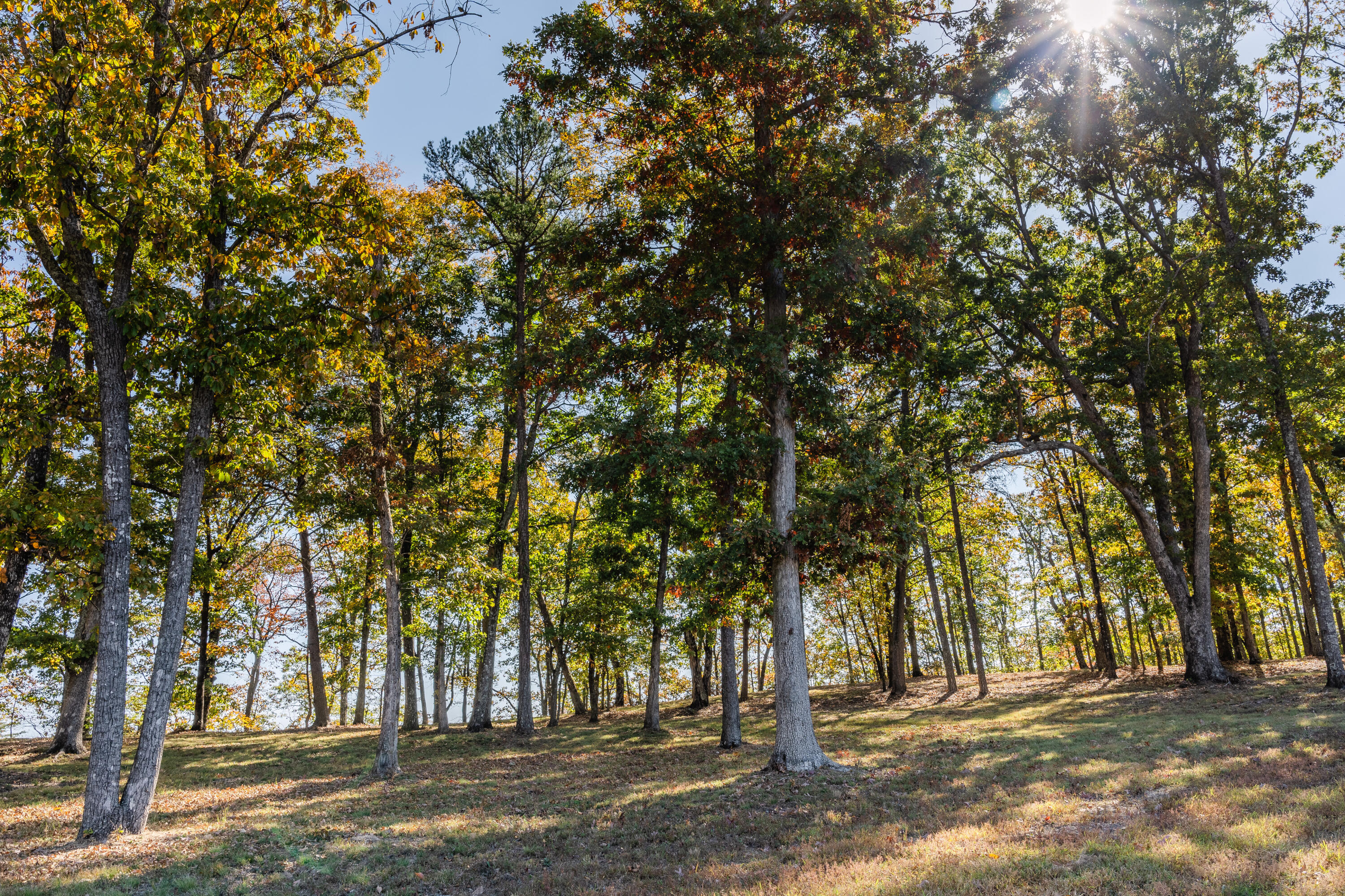 4125 Amethyst Road, 802