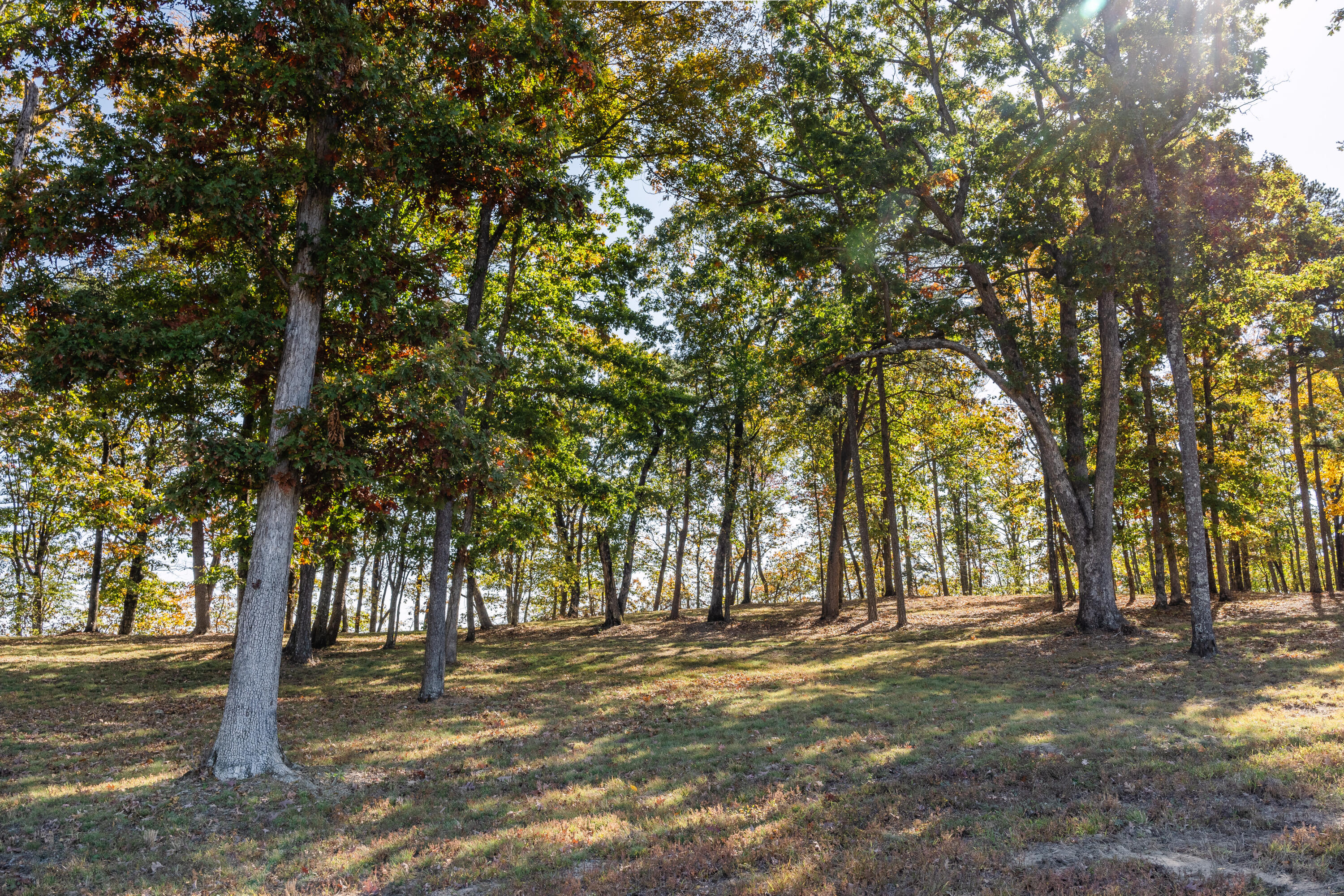 4125 Amethyst Road, 802