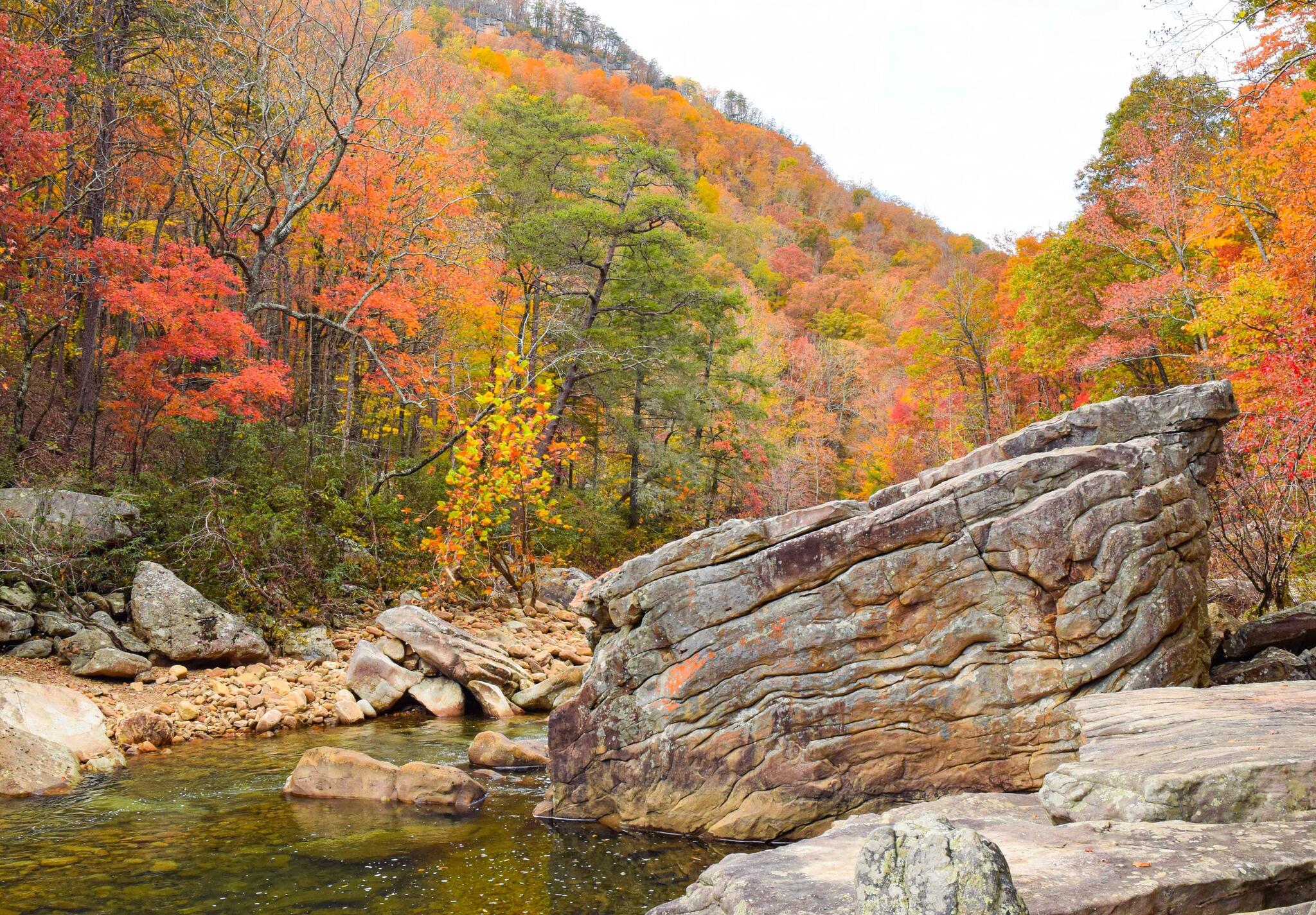 13166 Blakeslee Drive