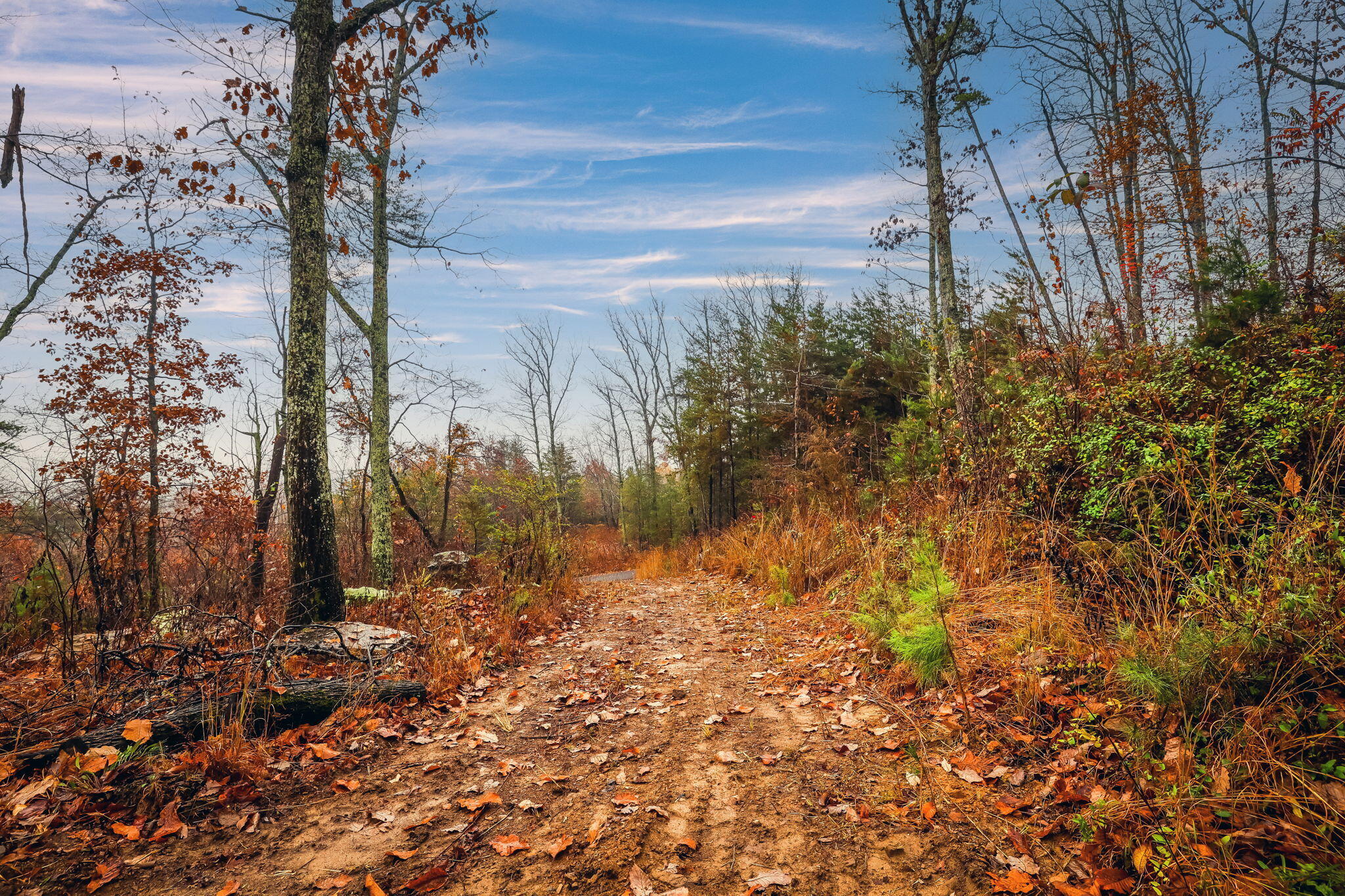 8037 Rocky Ledge Drive